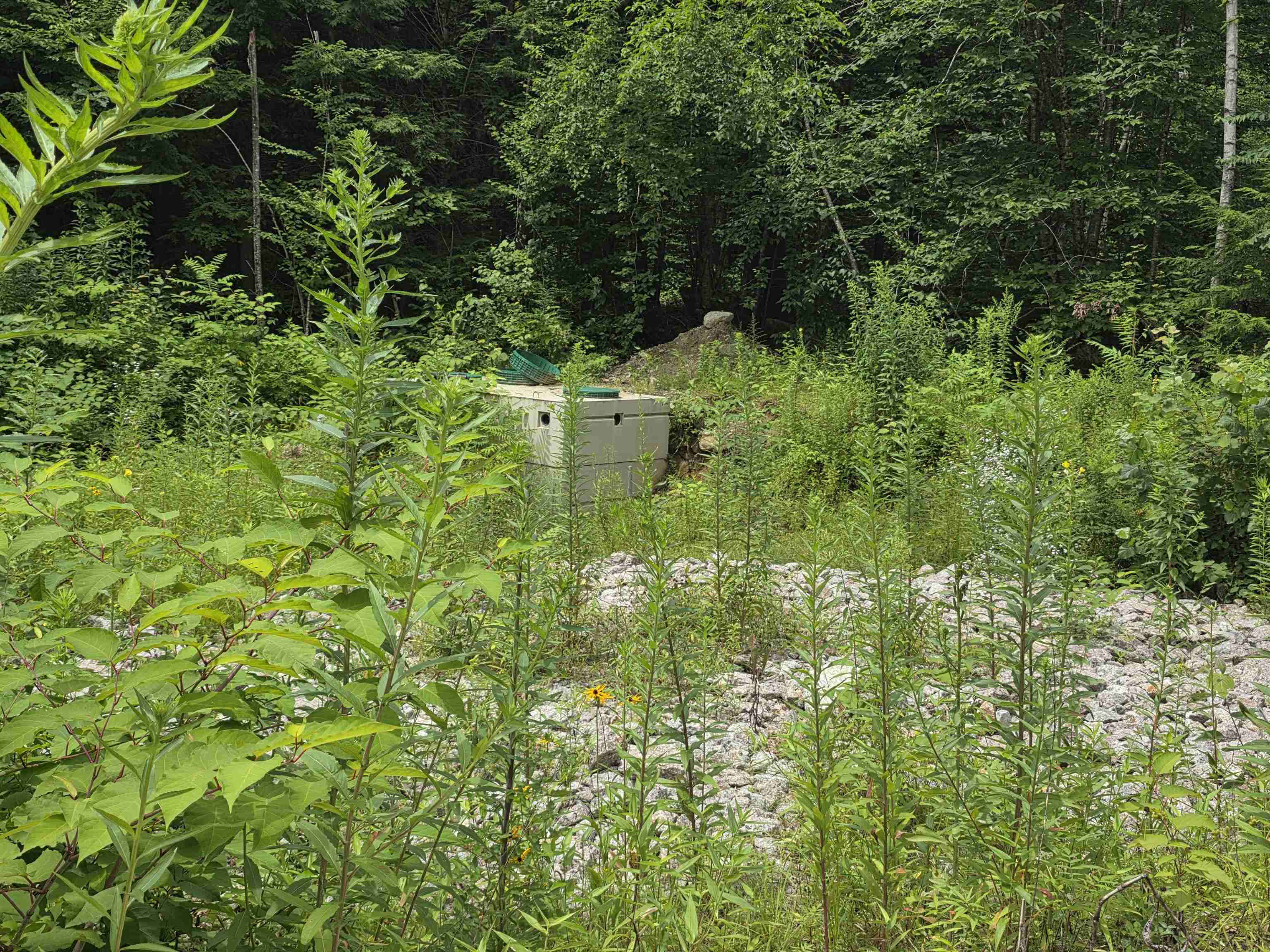 Homes for sale in Hillsborough, NH | 32 Deerpoint Dr, Hillsborough, NH 03244 | MLS# 5069736