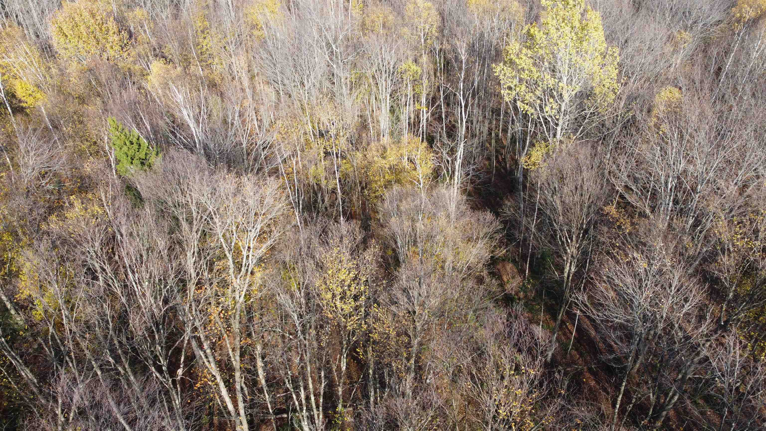 Homes for sale in Newark, VT | 2098 Kinney Hill Rd, Newark, VT 05871 | MLS# 5069740