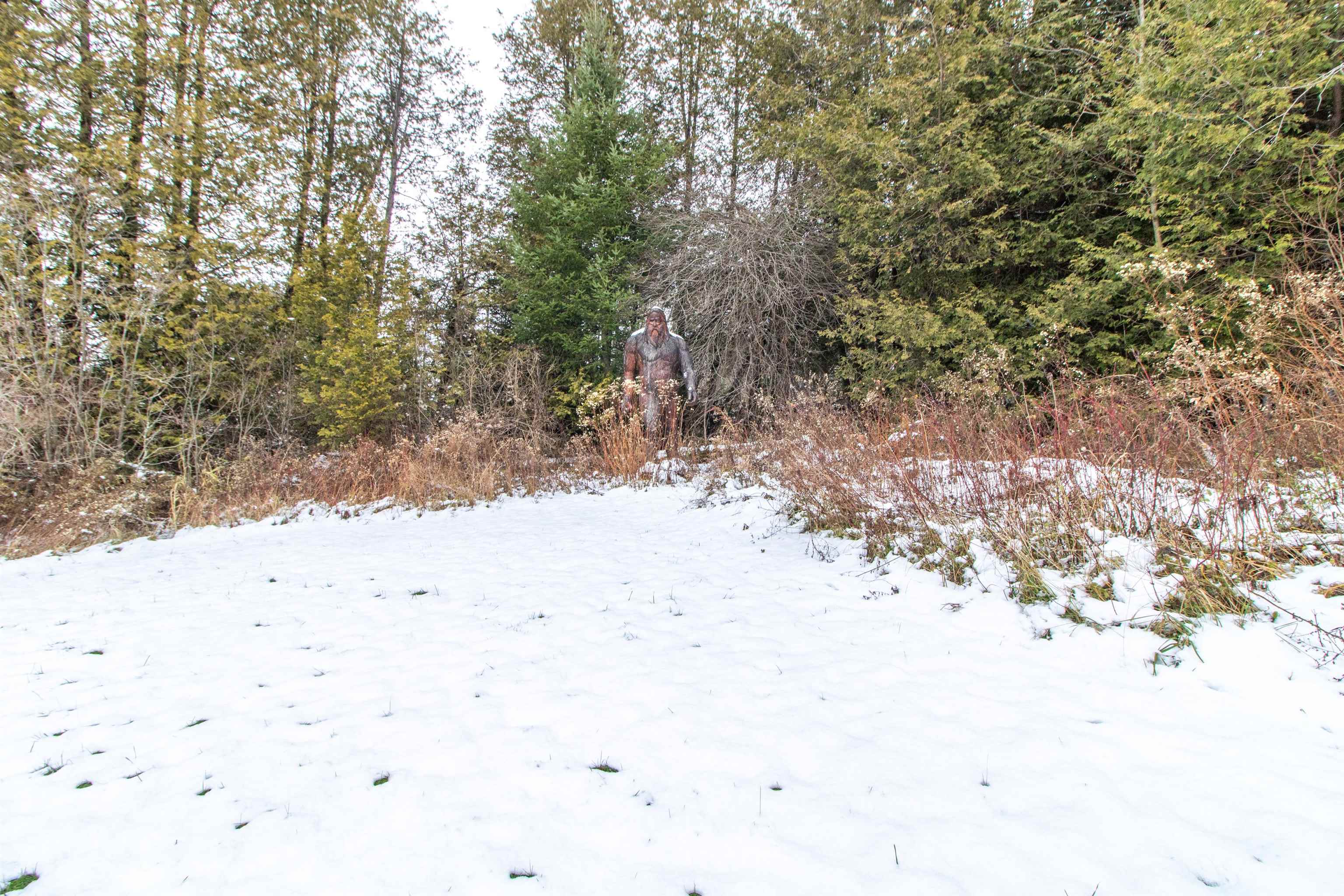 Homes for sale in Hardwick, VT | 199 Hardwick Farms Rd, Hardwick, VT 05836 | MLS# 5069822