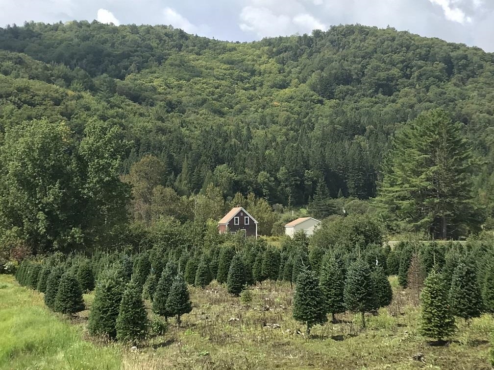 Homes for sale in Stewartstown, NH | 92 Bishop Brook Rd, Stewartstown, NH 03576 | MLS# 5069824