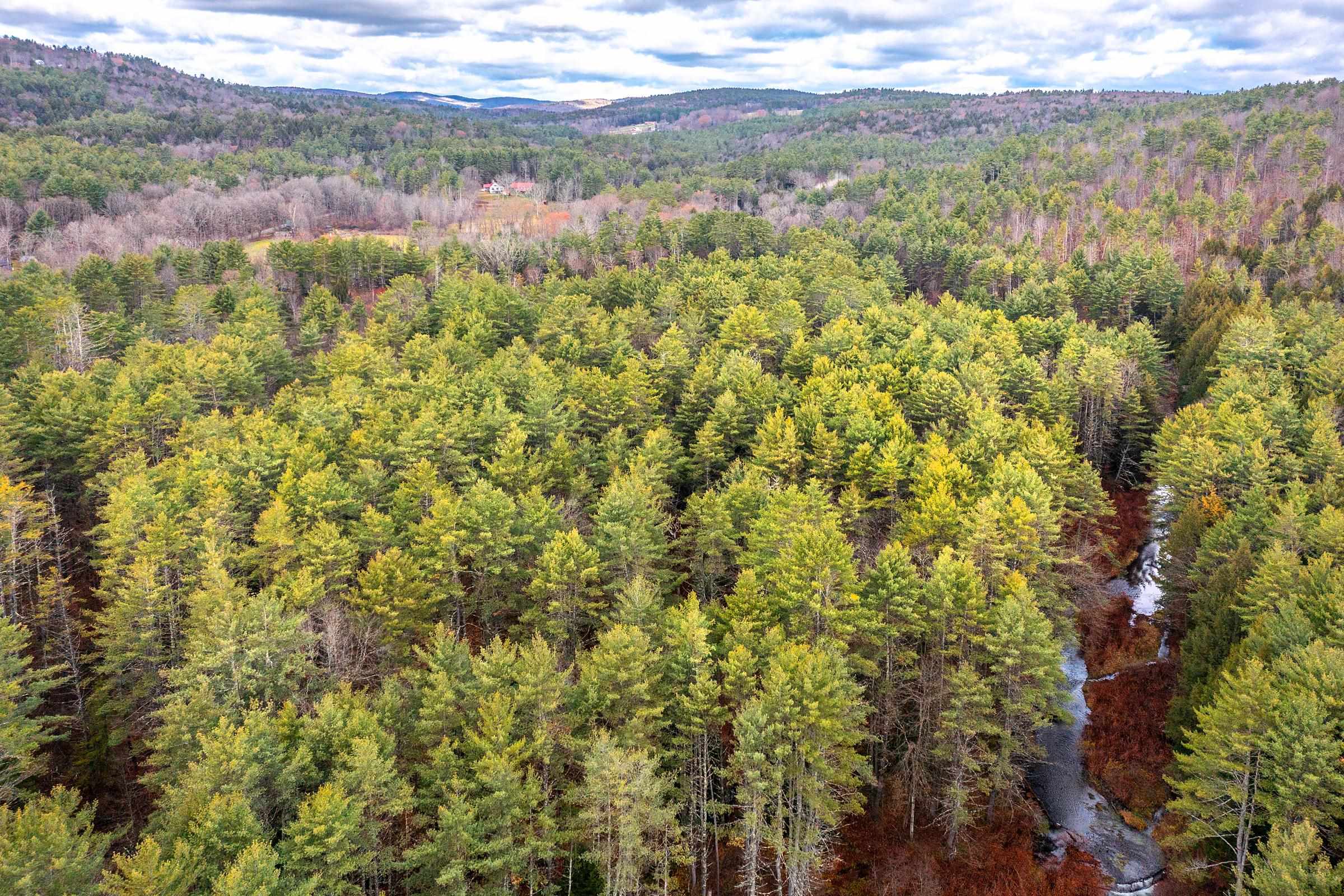 Homes for sale in Putney, VT | 40 E Putney Brook Rd, Putney, VT 05346 | MLS# 5069838