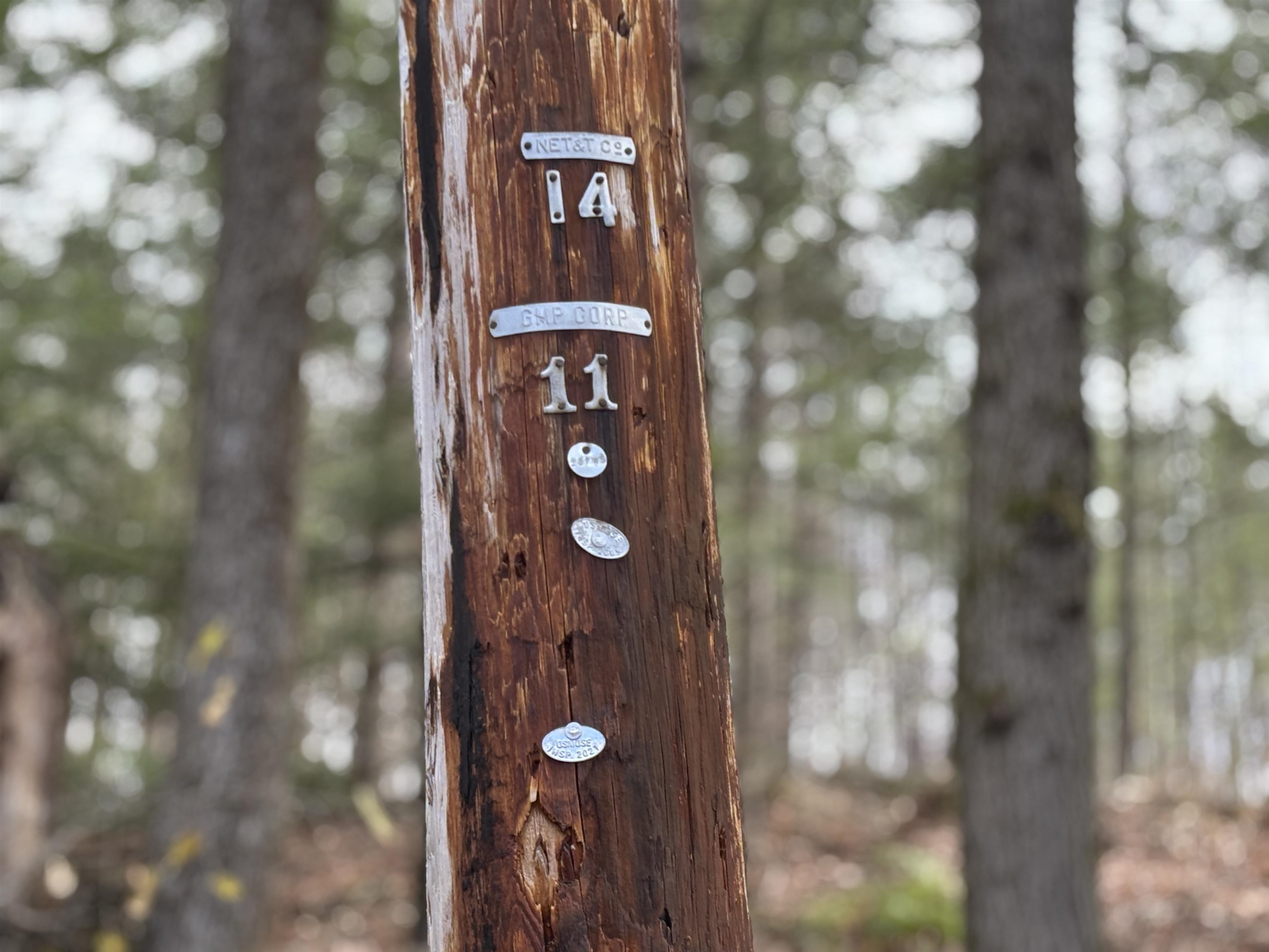 Homes for sale in Putney, VT | 40 E Putney Brook Rd, Putney, VT 05346 | MLS# 5069838