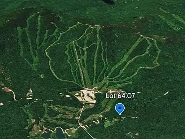 Homes for sale in Danbury, NH | 00 New Canada Rd, Danbury, NH 03230 | MLS# 5069844