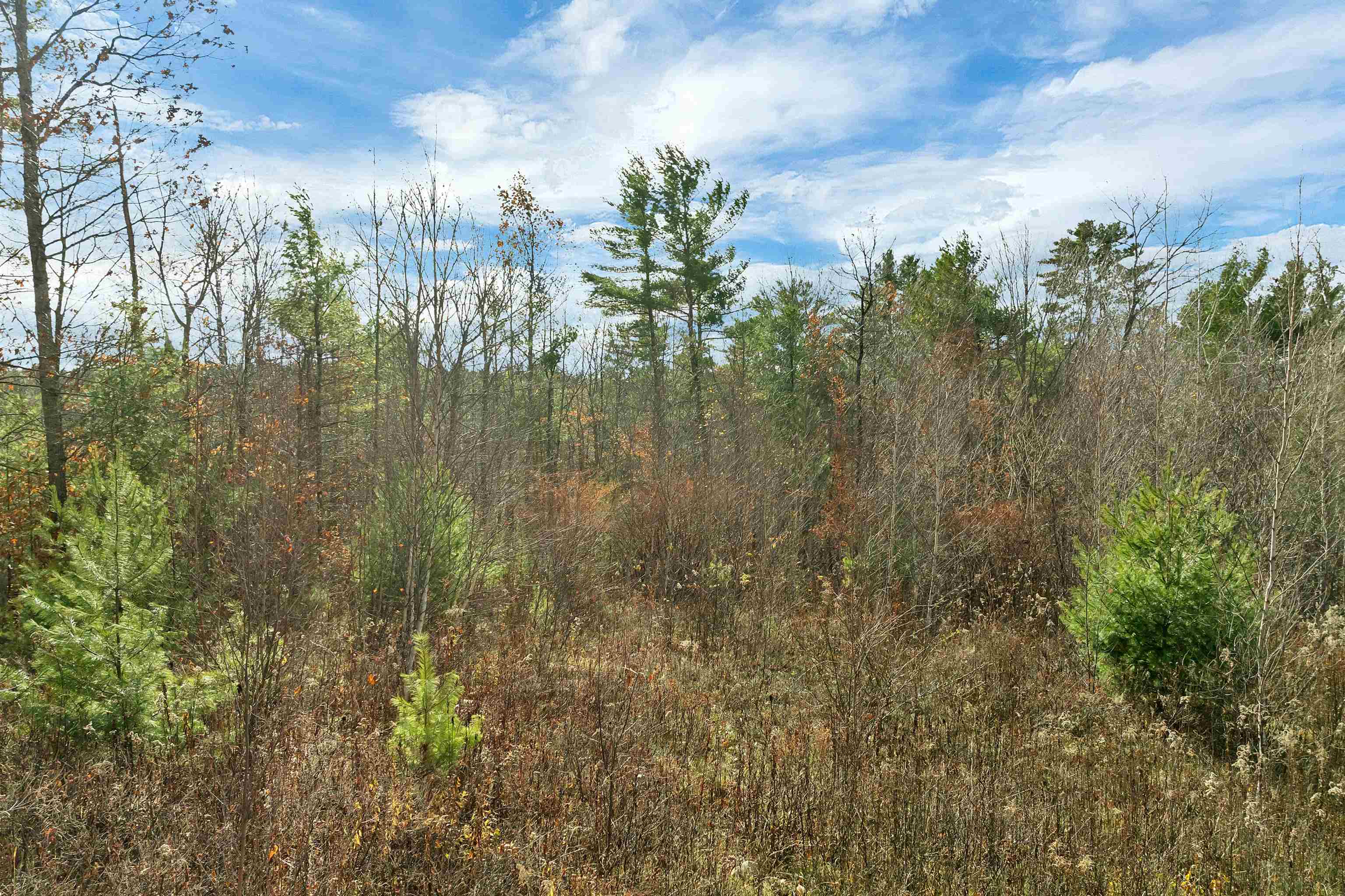 MLS #5069852 image #1