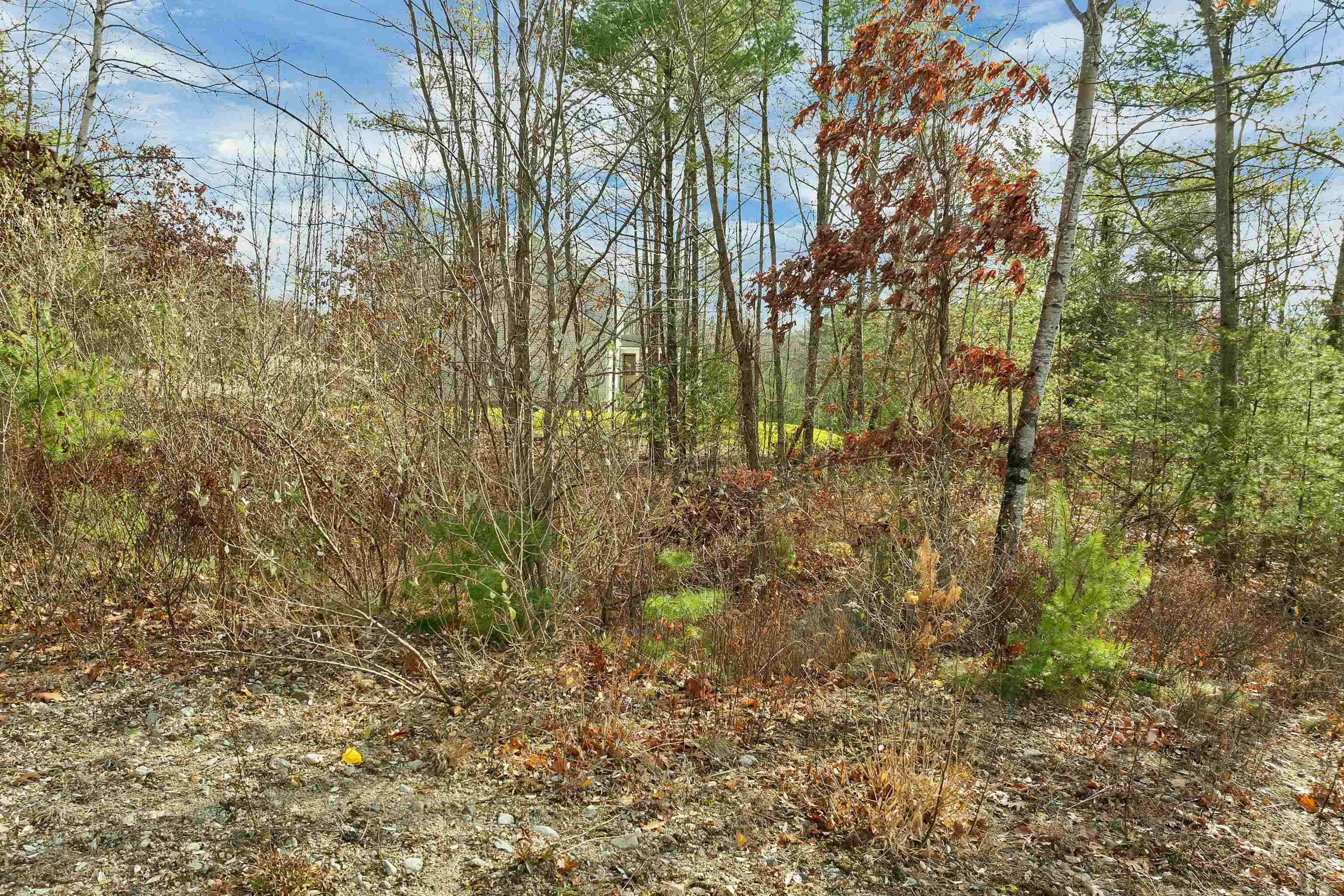 MLS #5069852 image #3