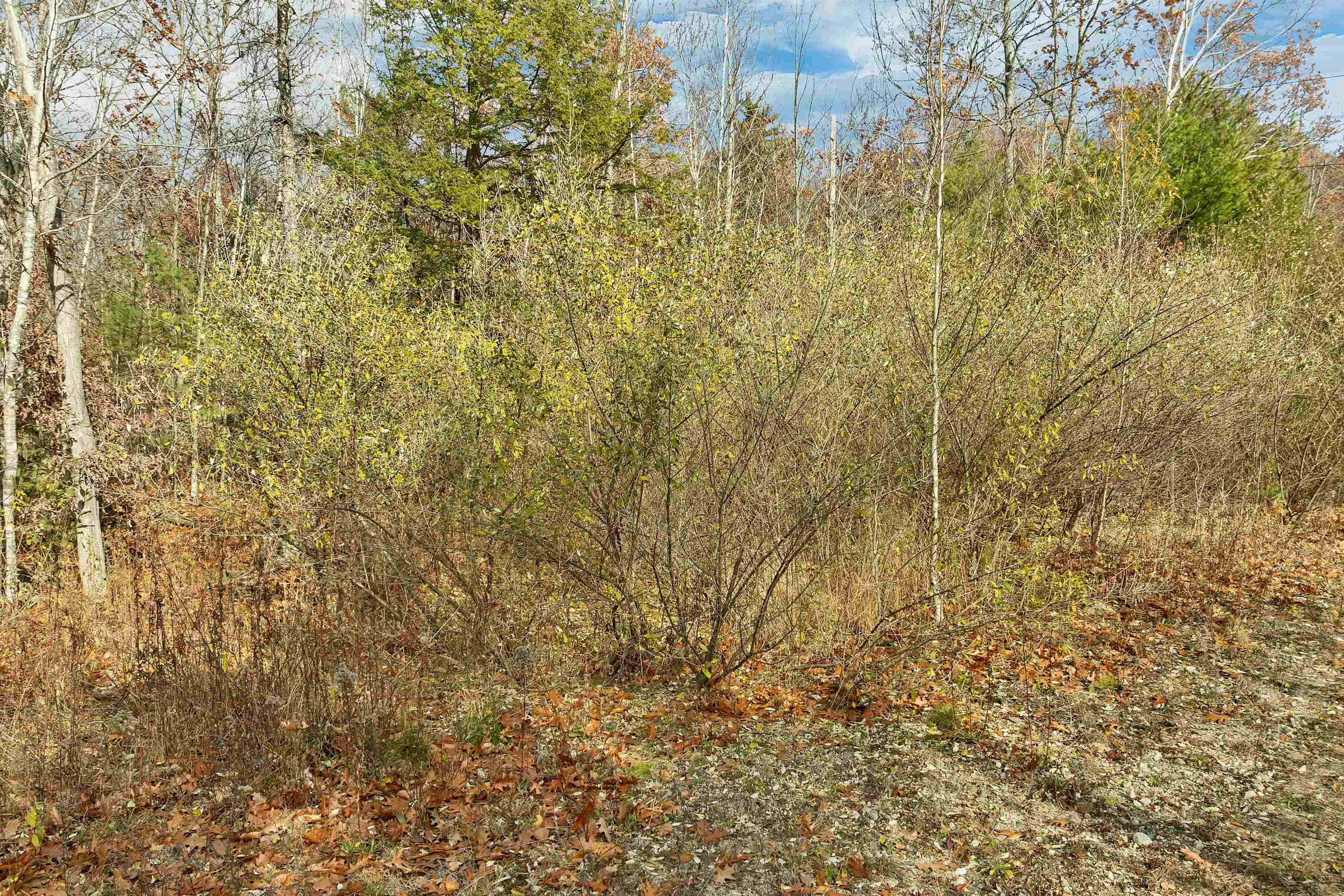 MLS #5069852 image #5