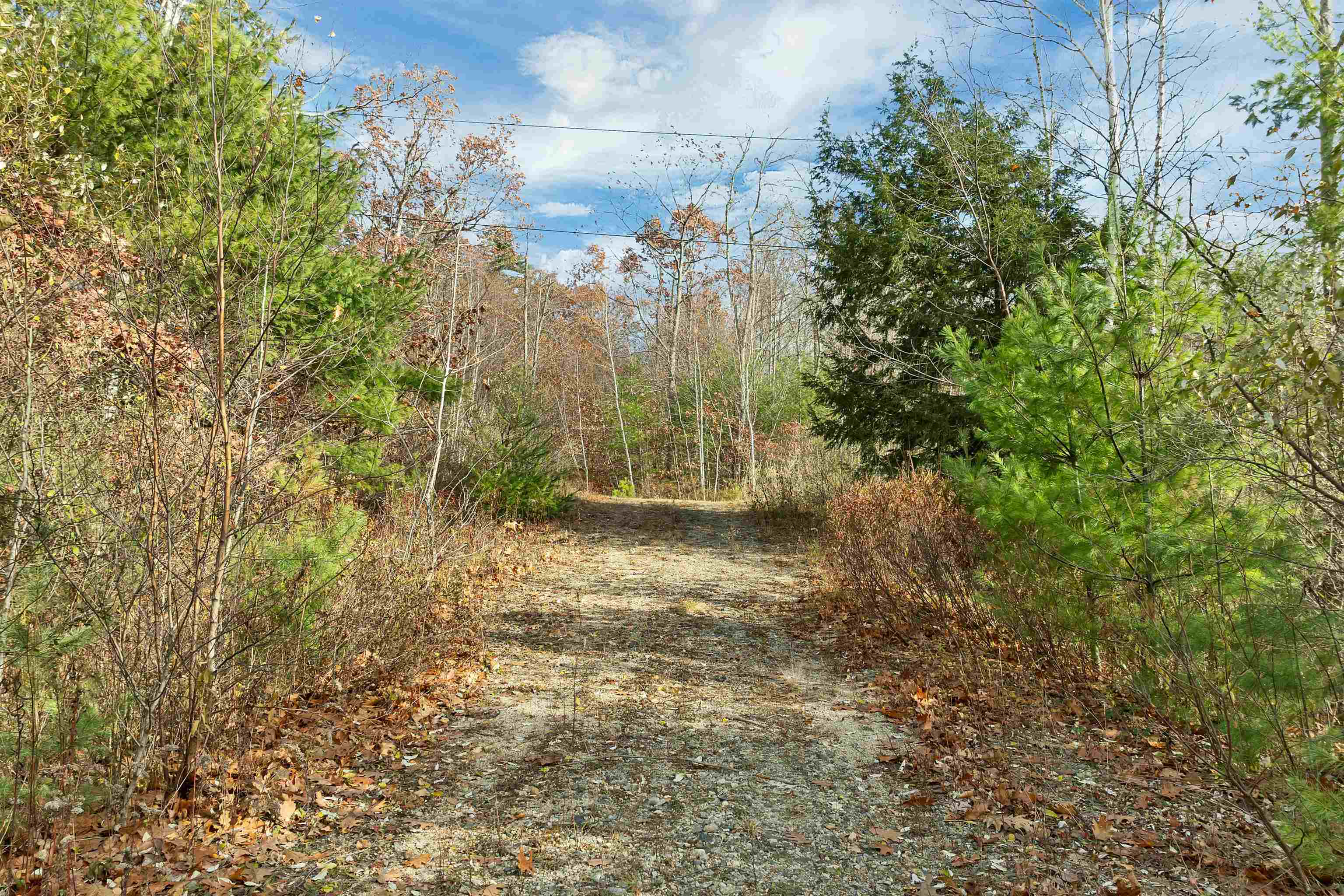 MLS #5069852 image #6