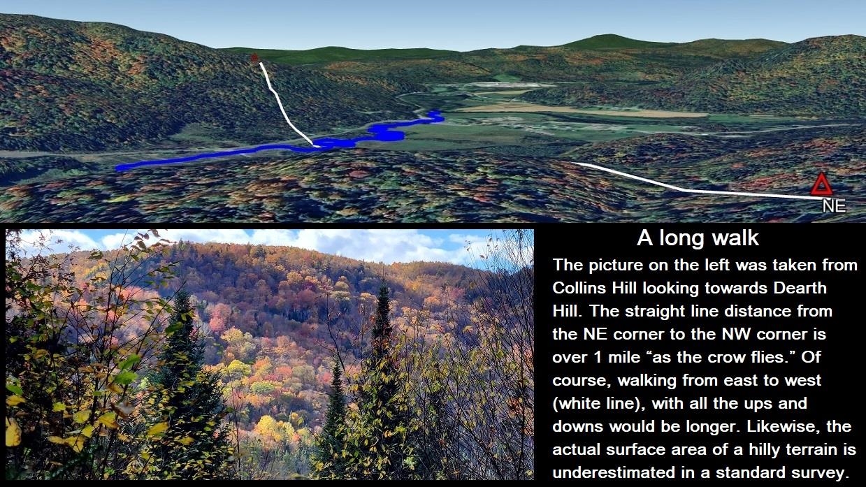 92 Bishop Brook Rd, Stewartstown, NH 03576