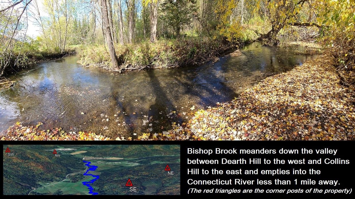 92 Bishop Brook Rd, Stewartstown, NH 03576