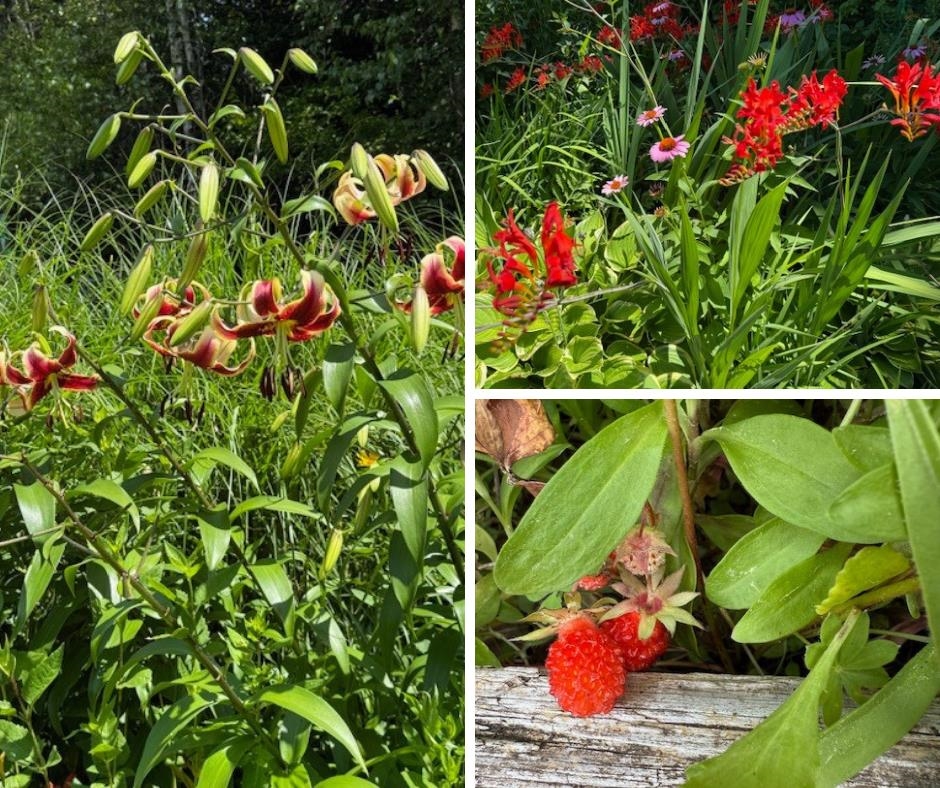 Homes for sale in Williston, VT | 255 Mud Pond Rd, Williston, VT 05495 | MLS# 5069866