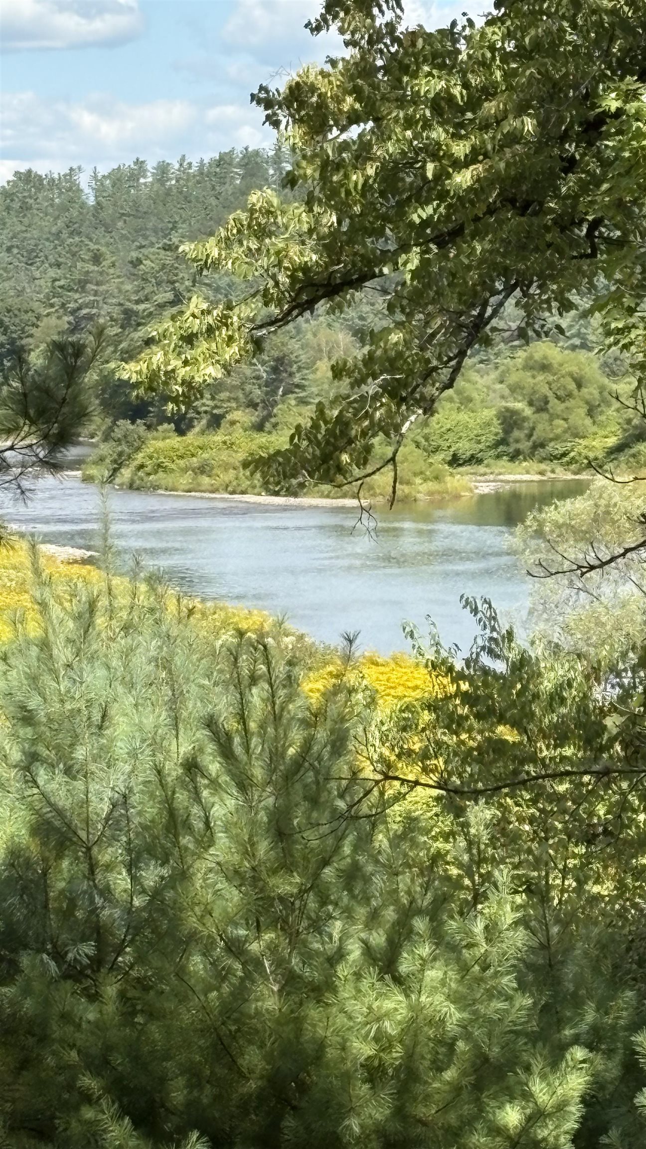   Click for more details  