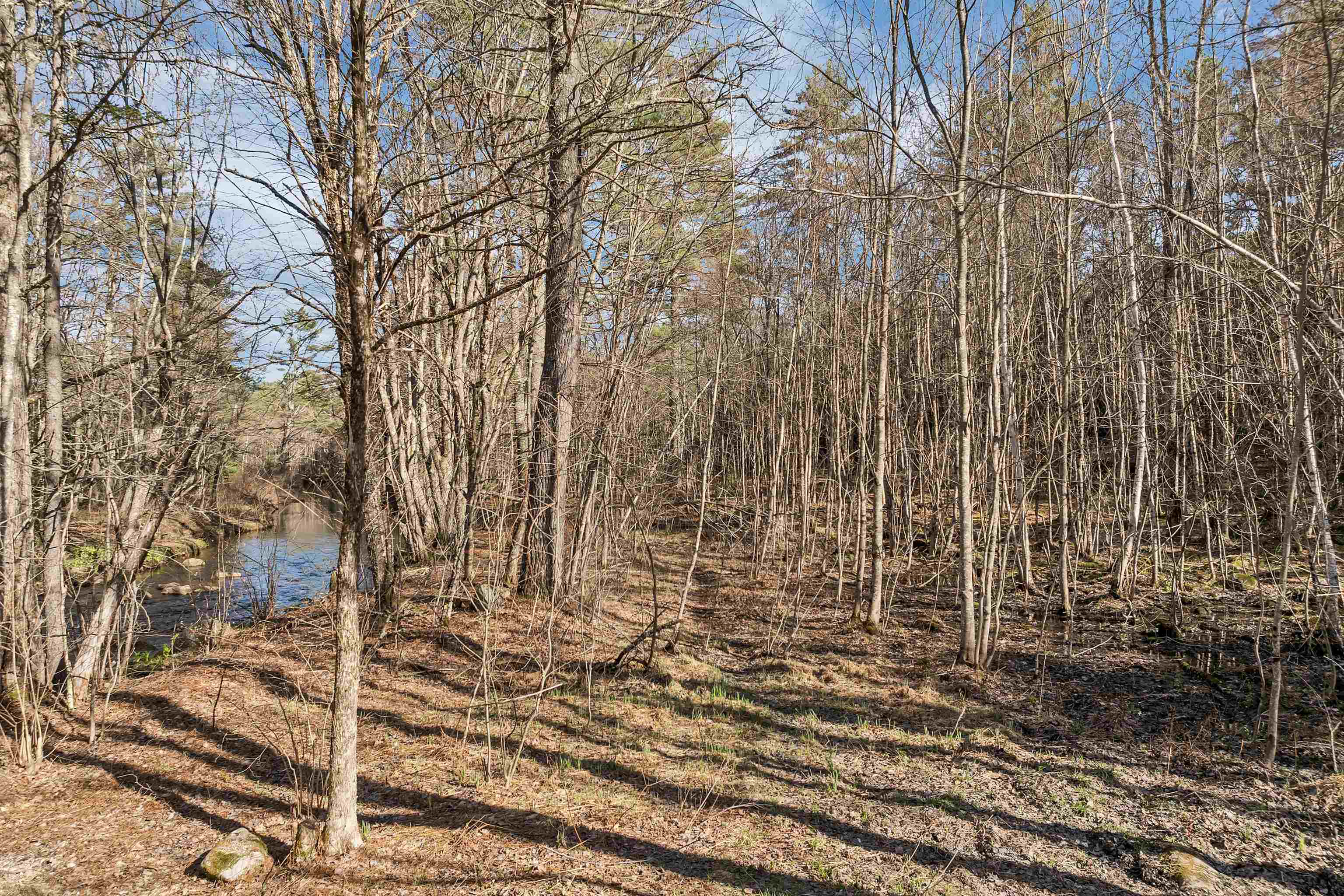 MLS #5069919 image #4