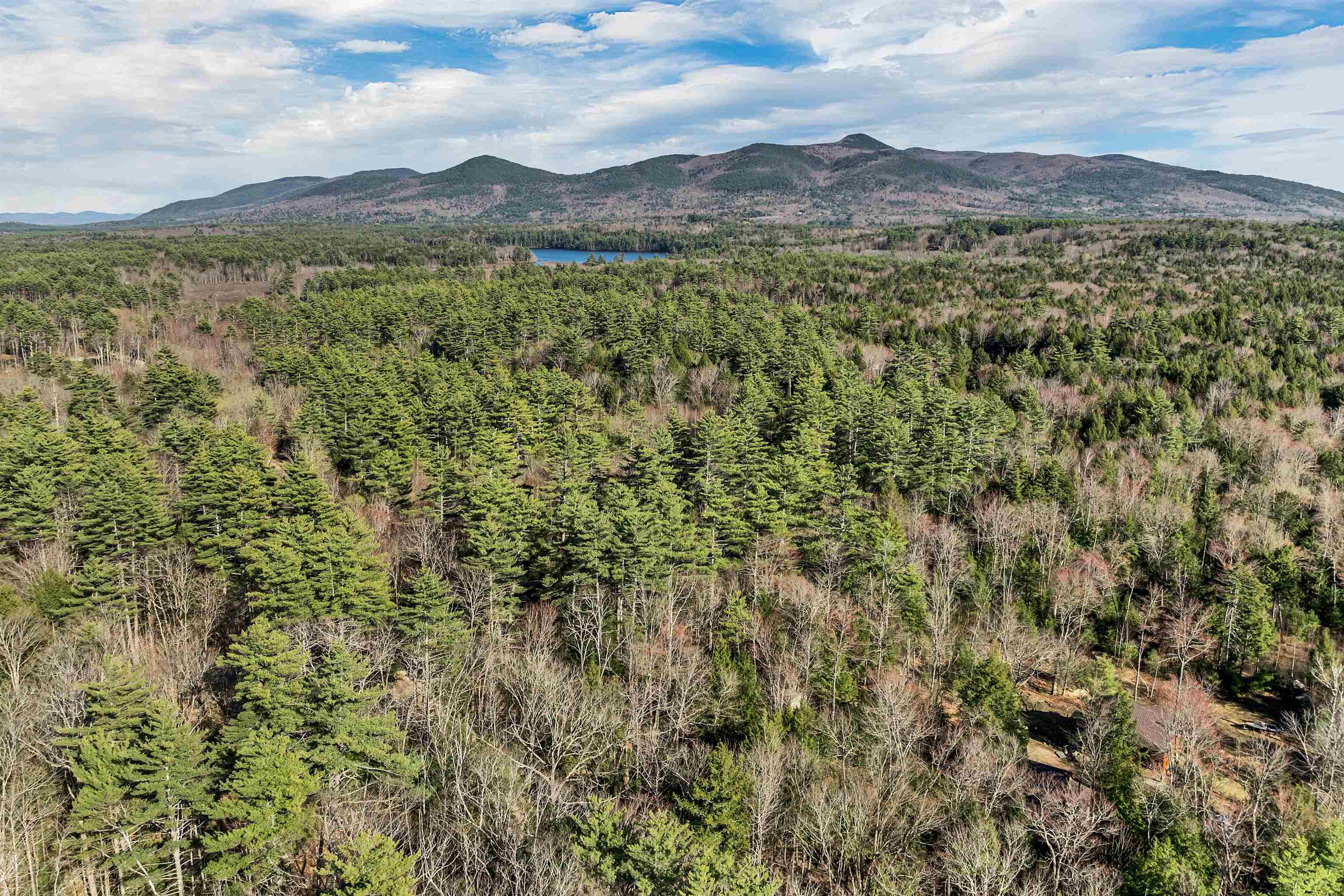 MLS #5069919 image #7