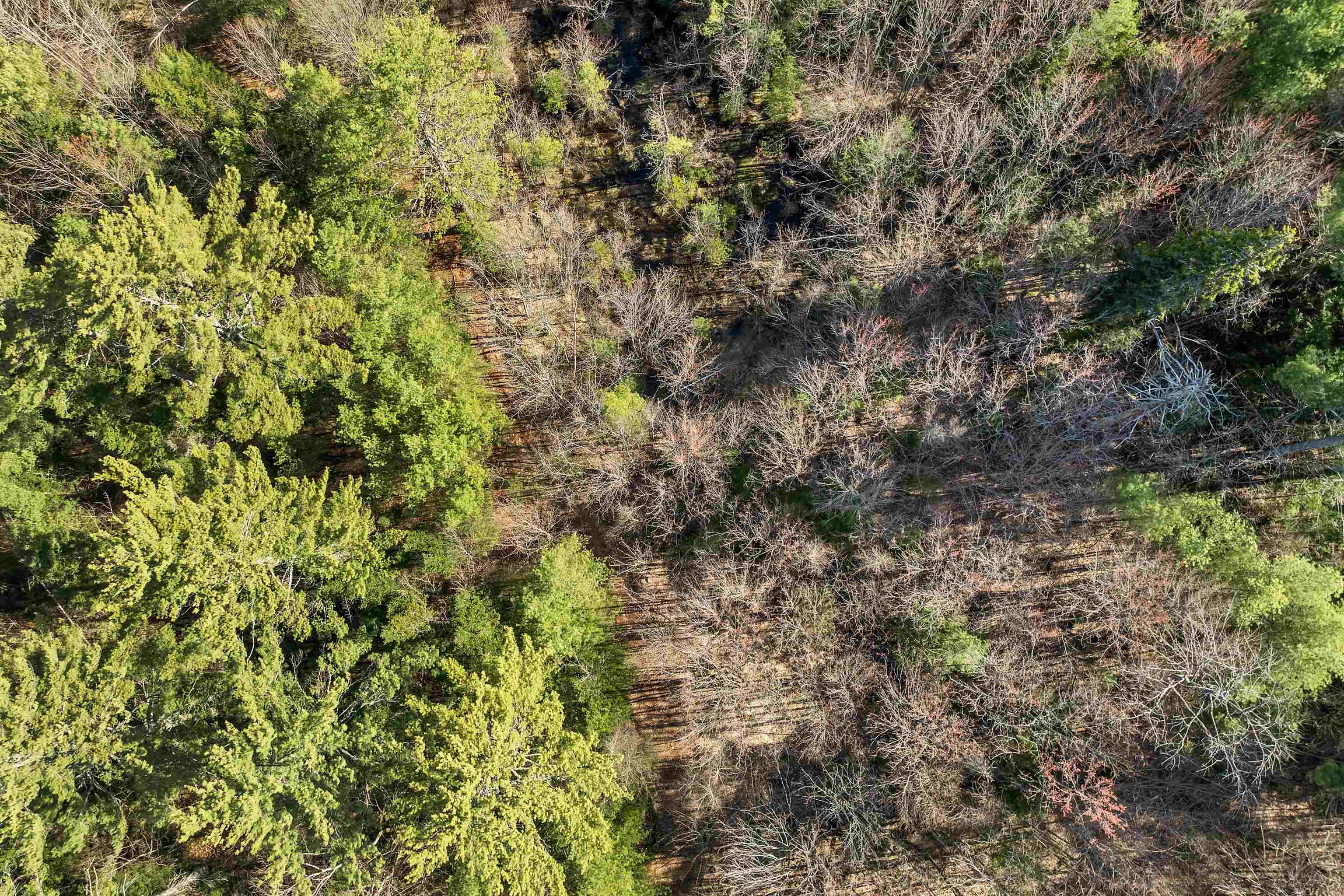 MLS #5069919 image #8