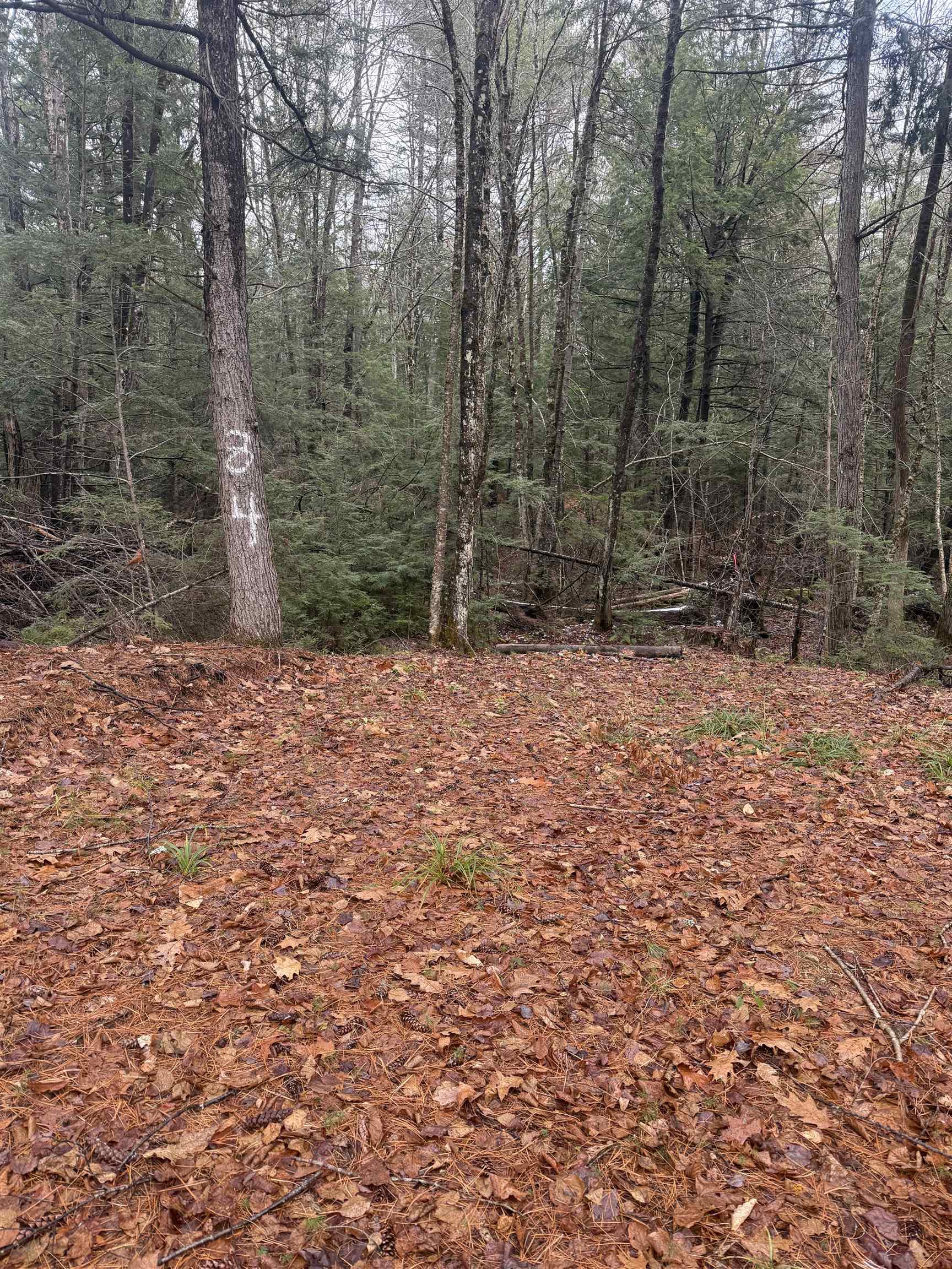 MLS #5069921 image #1