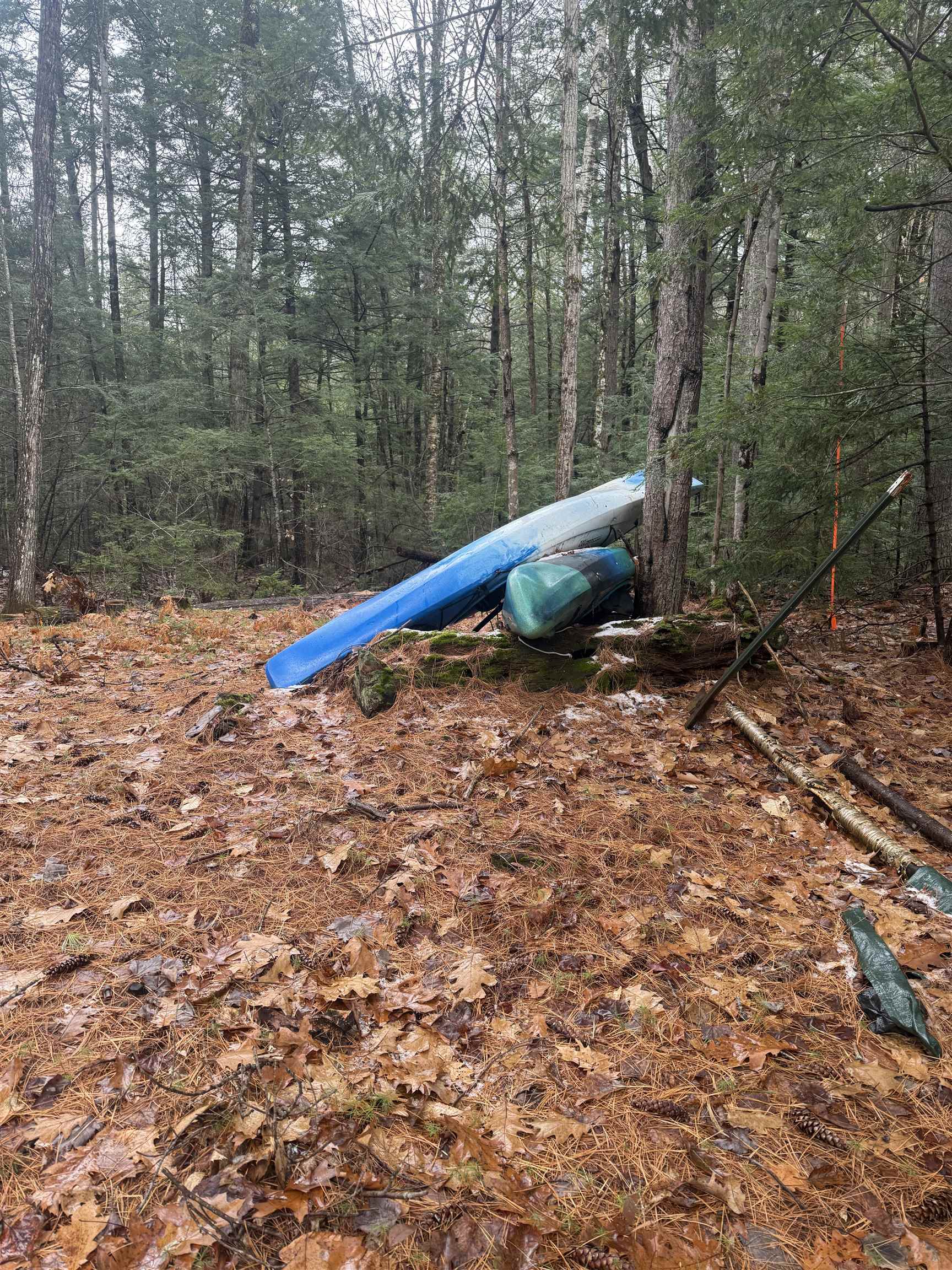 MLS #5069921 image #2