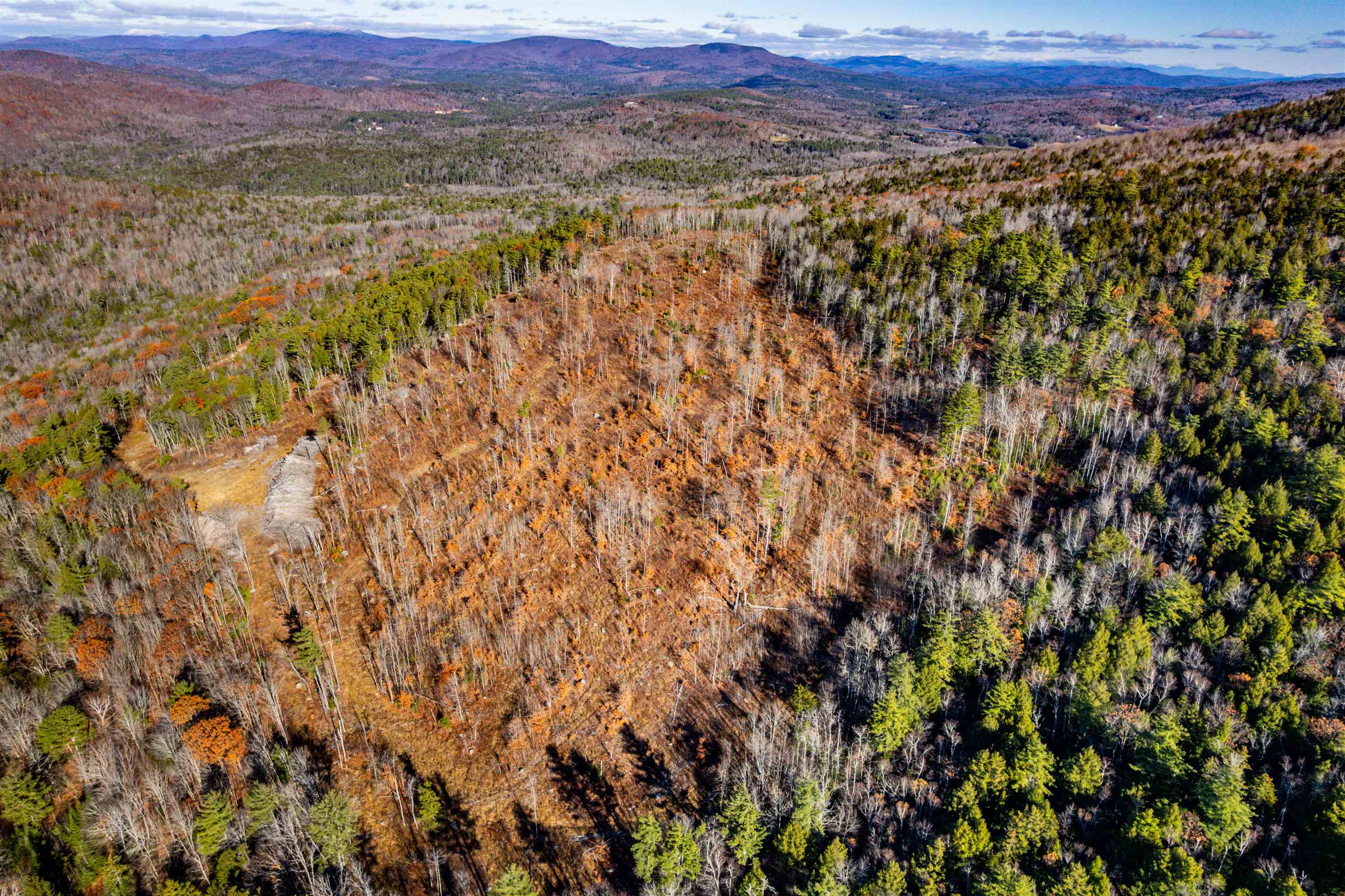 MLS #5069926 image #10