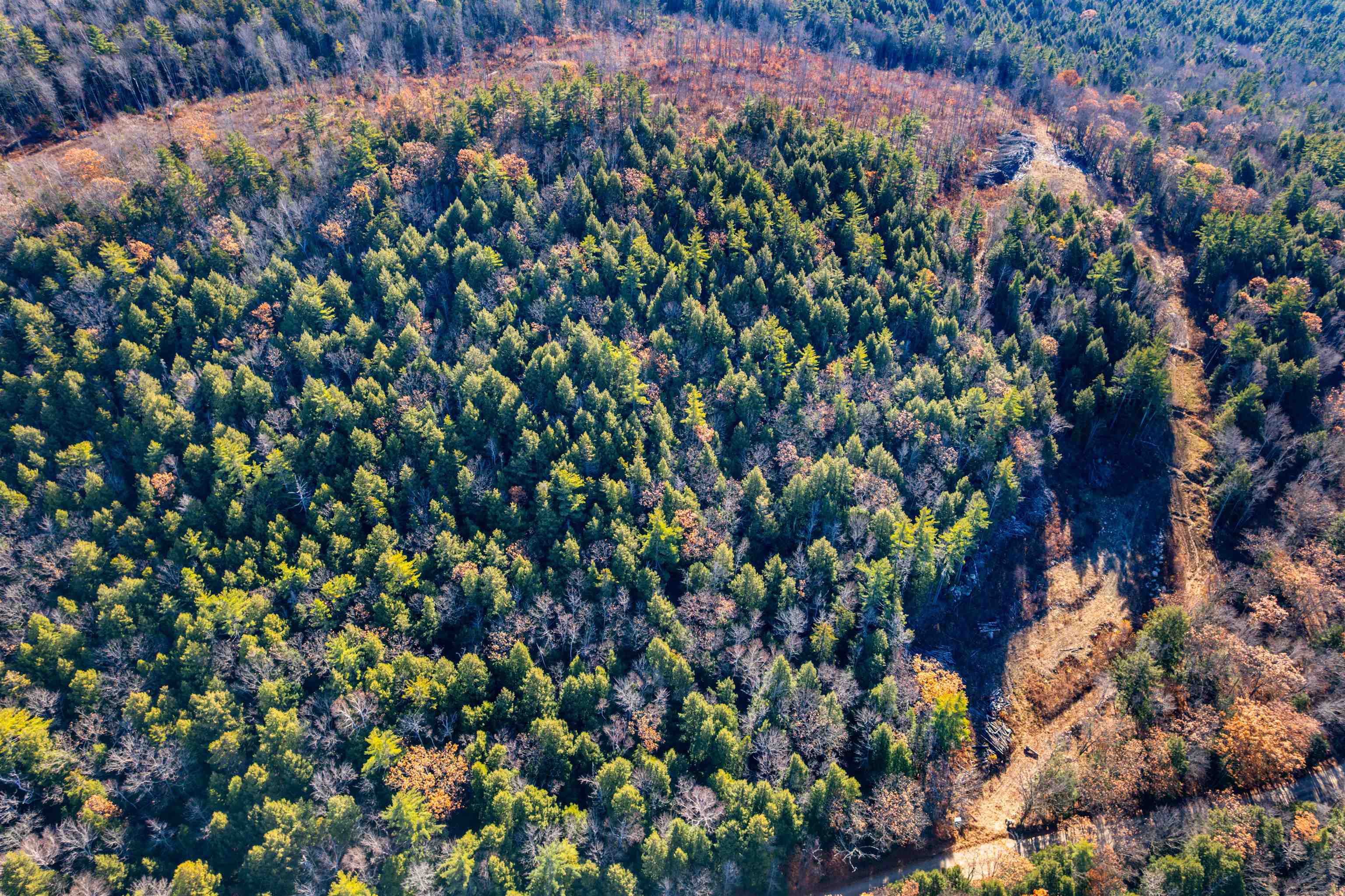 MLS #5069926 image #13