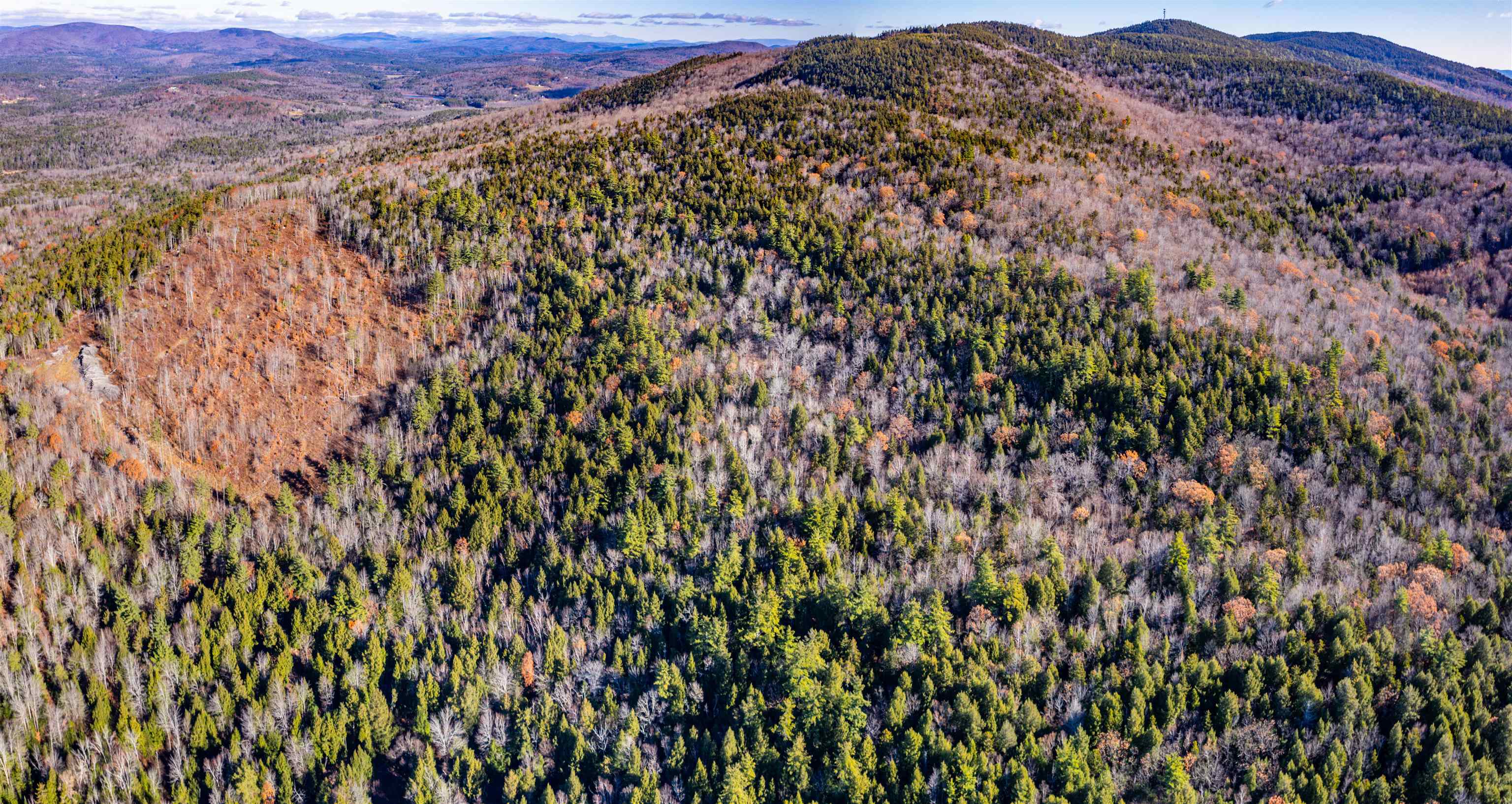 MLS #5069926 image #9