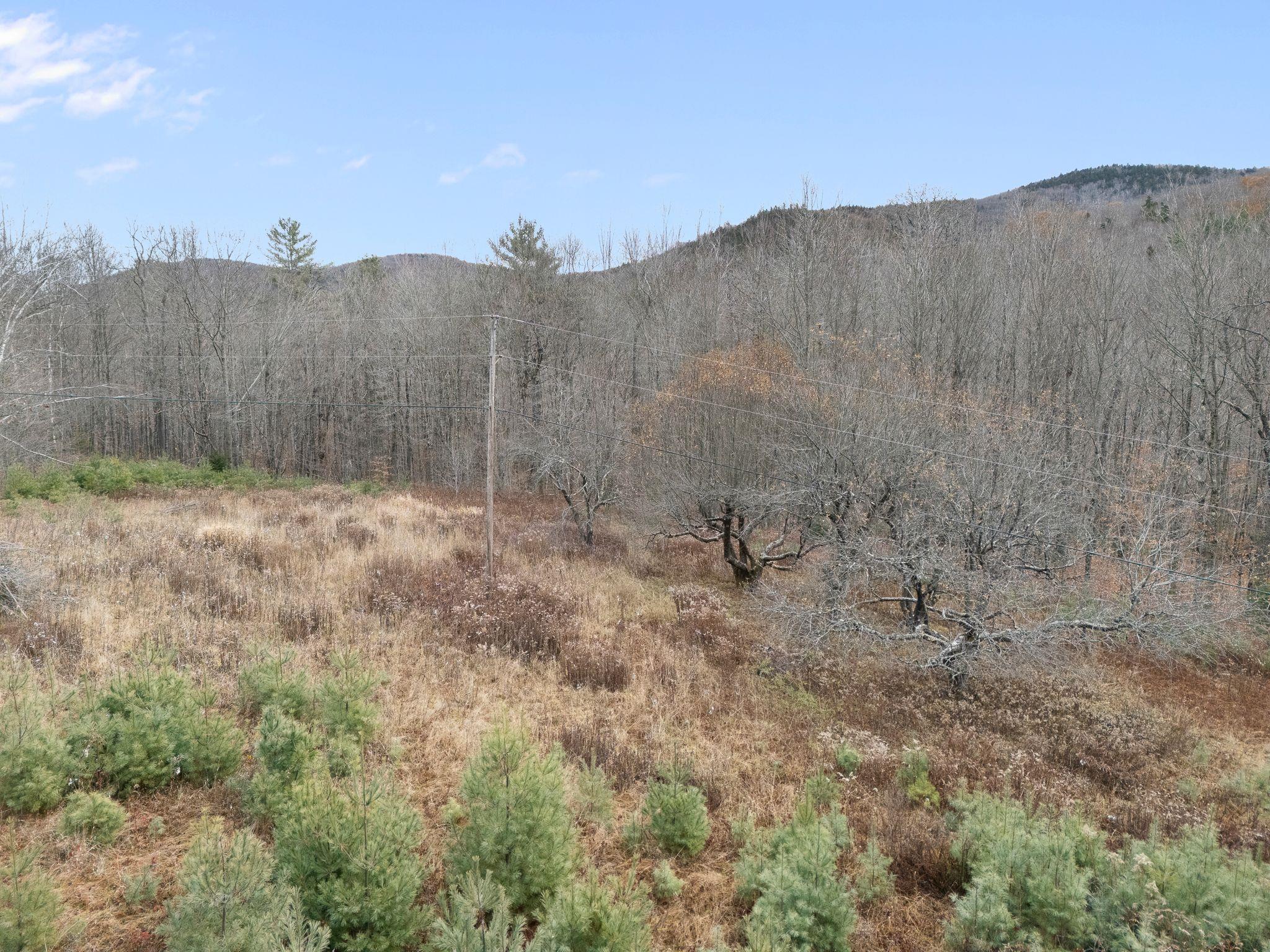 Homes for sale in Chester, VT | 00 Contro Rd, Chester, VT 05143 | MLS# 5069927