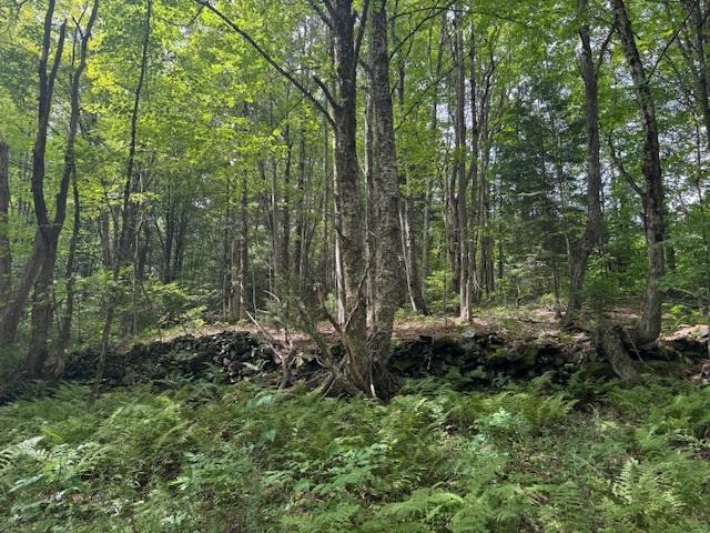 Homes for sale in Greensboro, VT | 190 Upper Edsall Rd, Greensboro, VT 05841 | MLS# 5069954