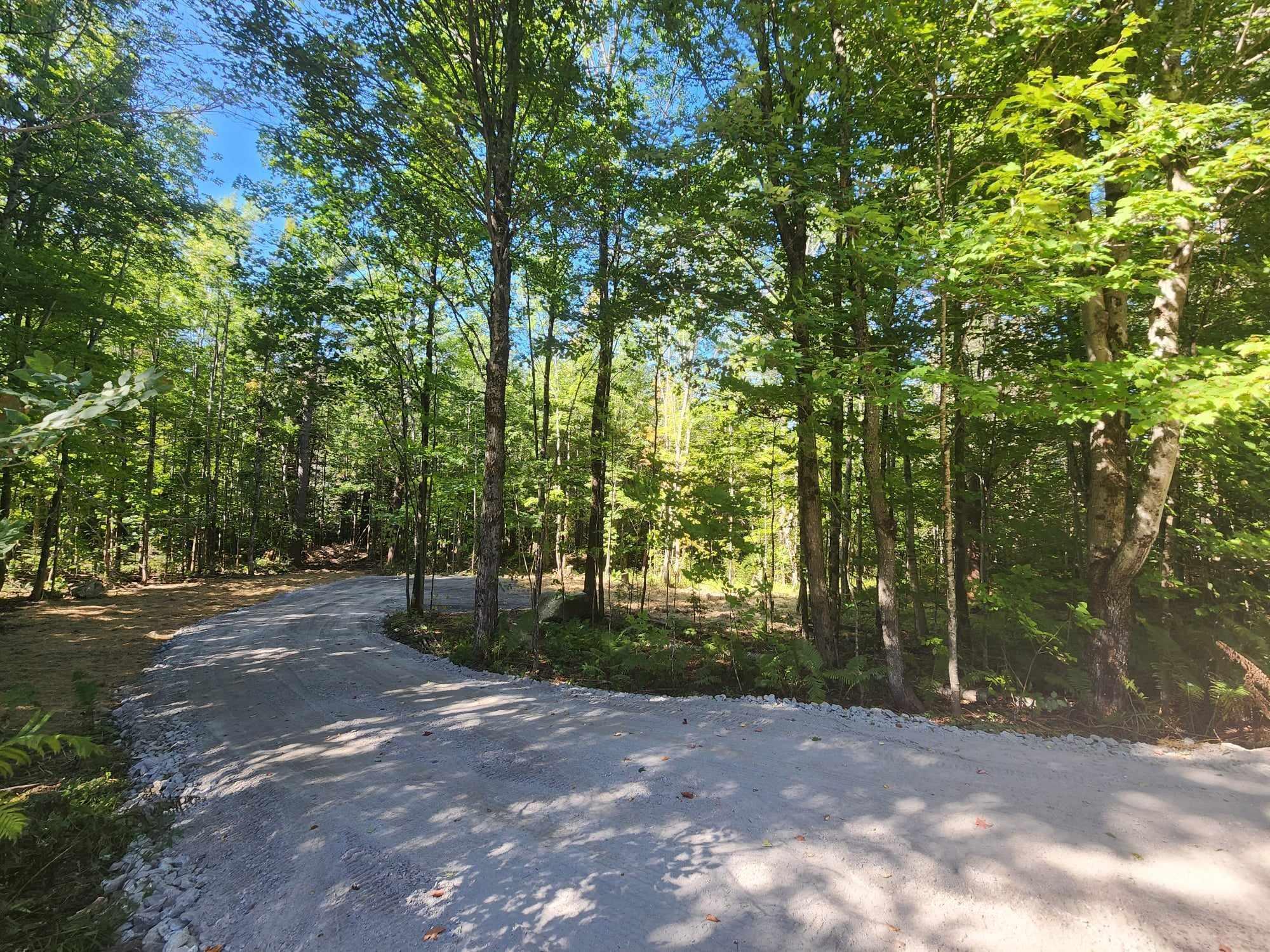 Homes for sale in Piermont, NH | Piermont Heights Rd, Piermont, NH 03779 | MLS# 5069985