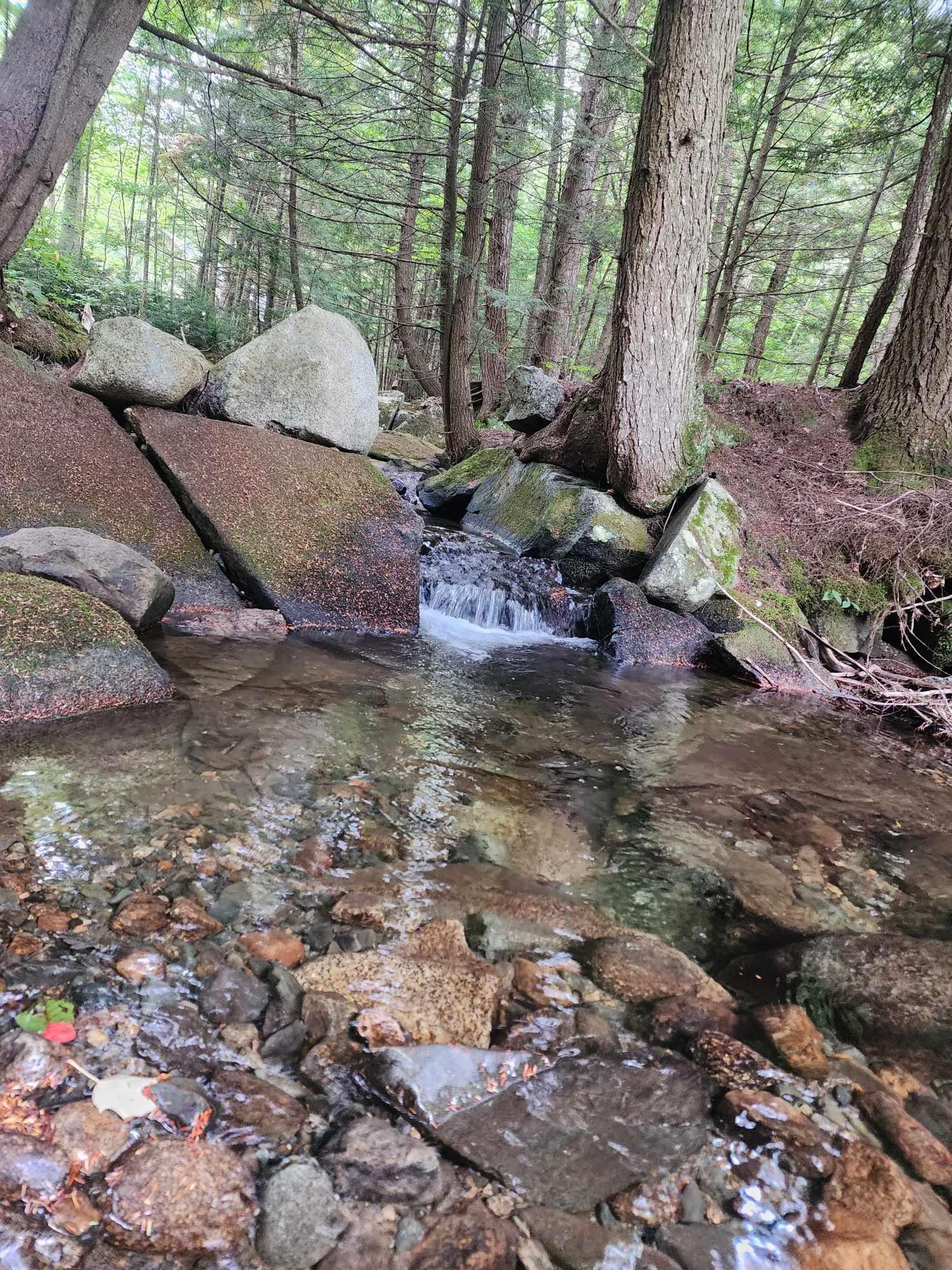 Homes for sale in Piermont, NH | Piermont Heights Rd, Piermont, NH 03779 | MLS# 5069985