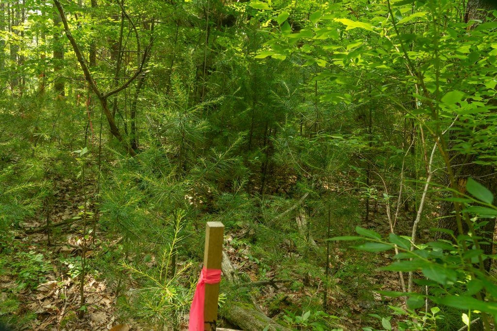 Homes for sale in York, ME | 2 Lils Aly, York, ME 03909 | MLS# 5069987