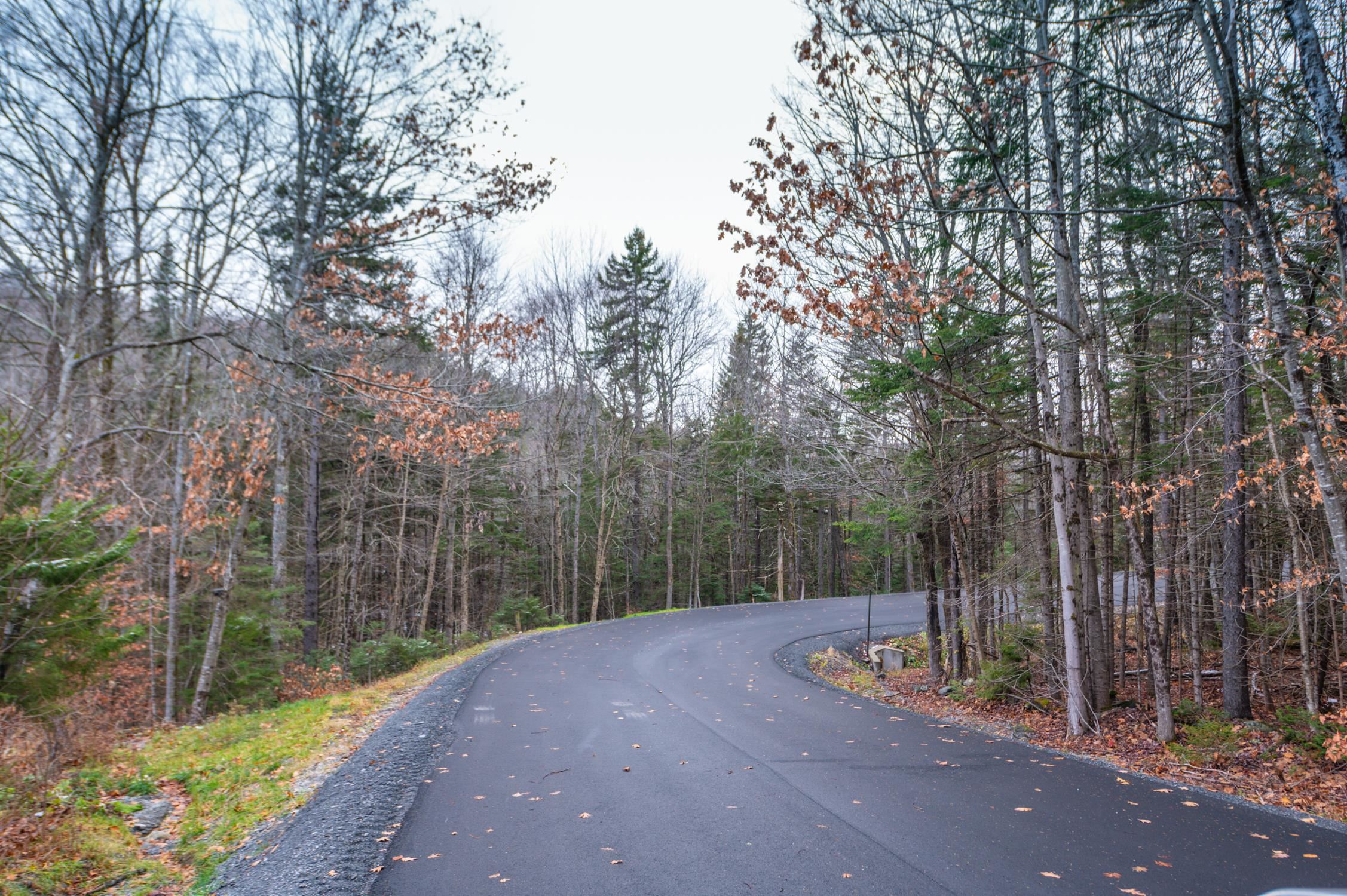 Homes for sale in Dover, VT | 63 Villager Loop, Dover, VT 05356 | MLS# 5070163