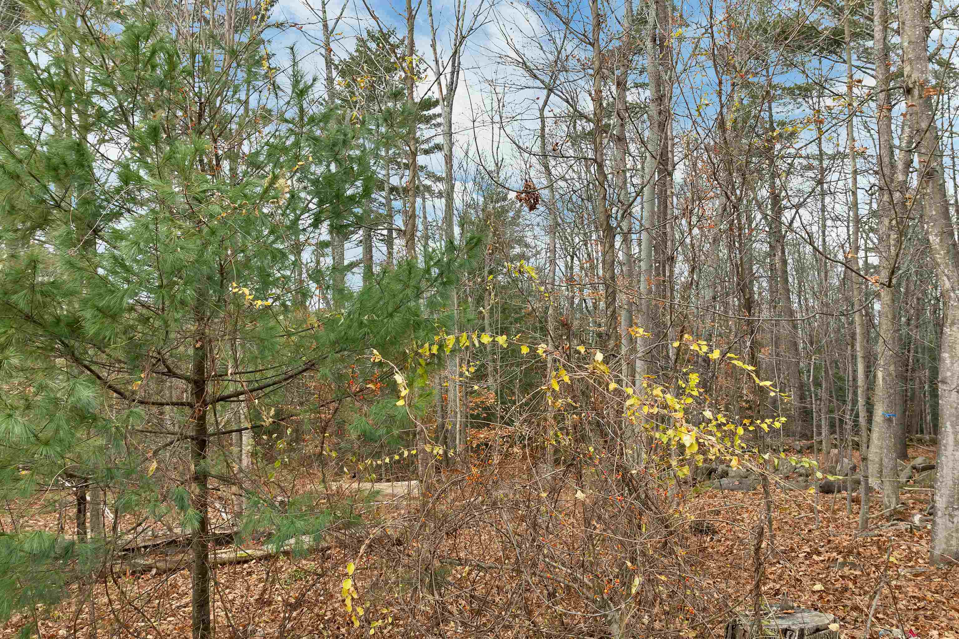 MLS #5070173 image #12