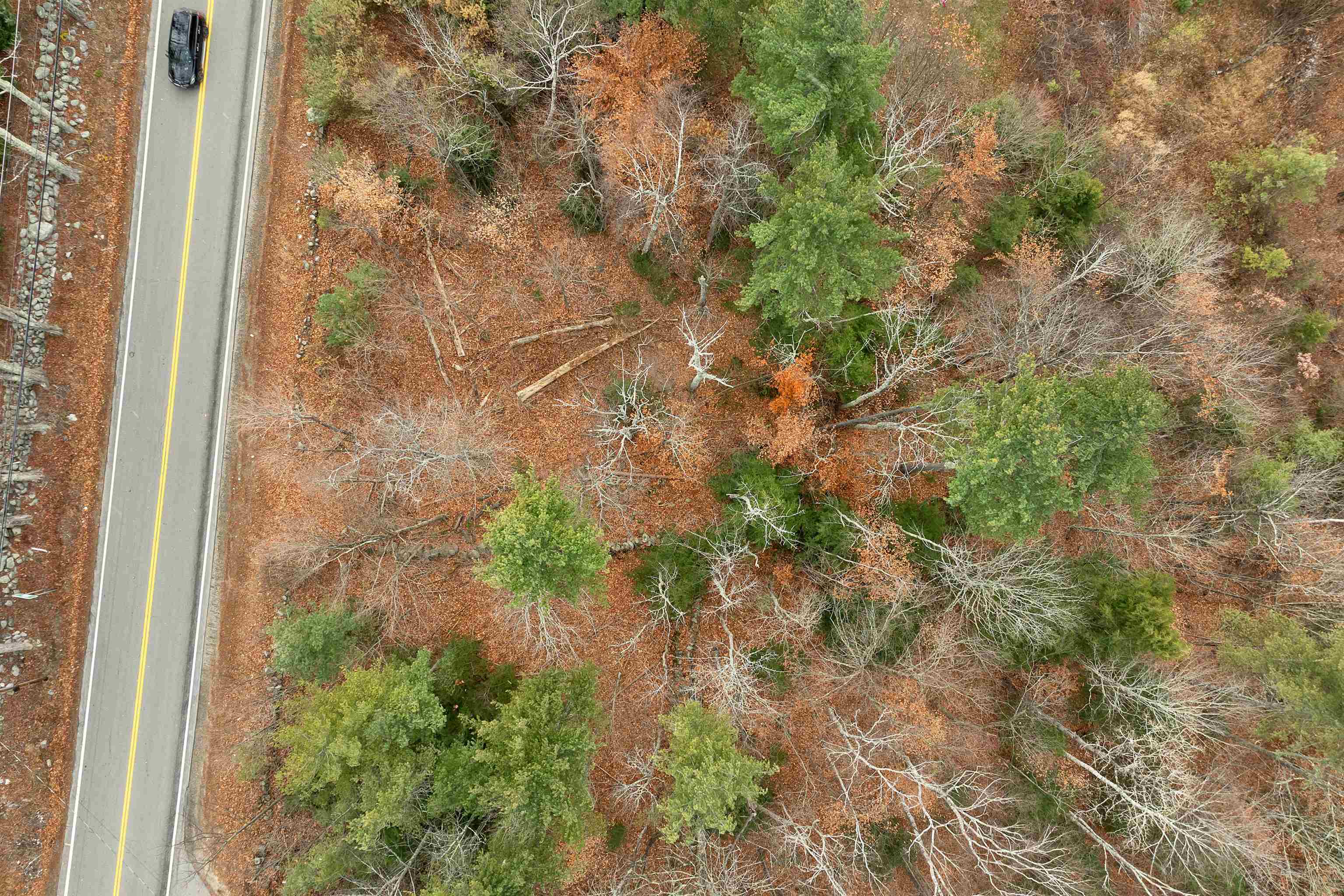 MLS #5070173 image #13