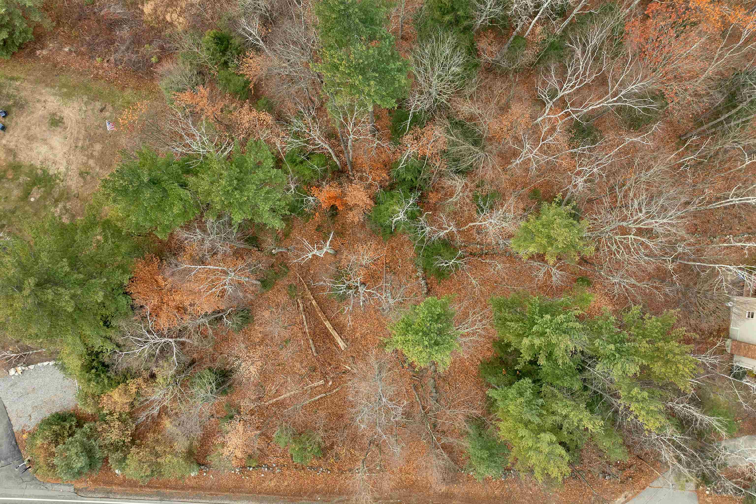 MLS #5070173 image #14