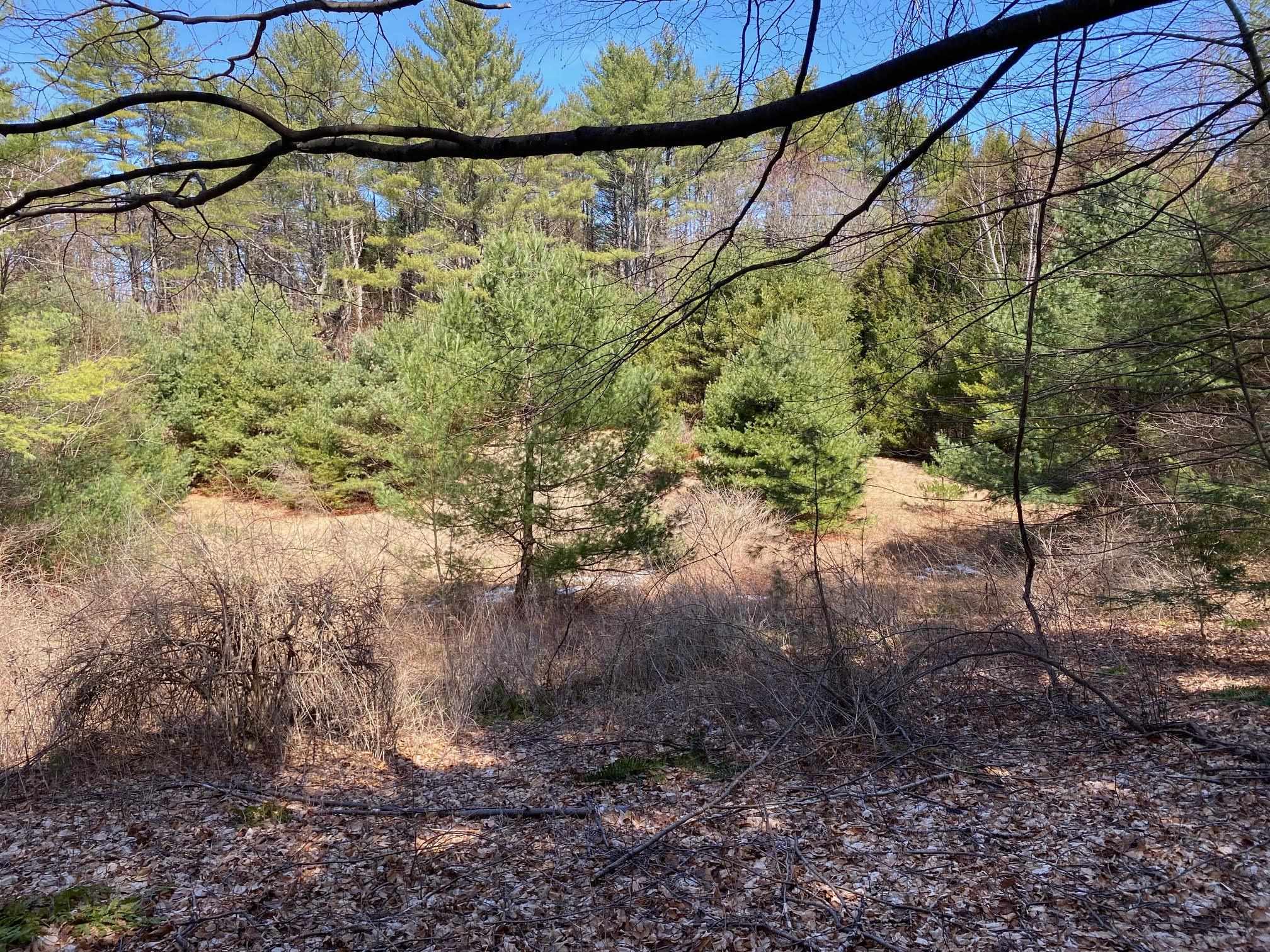 Homes for sale in Weathersfield, VT | 1254 Us Route 5, Weathersfield, VT 05156 | MLS# 5070225