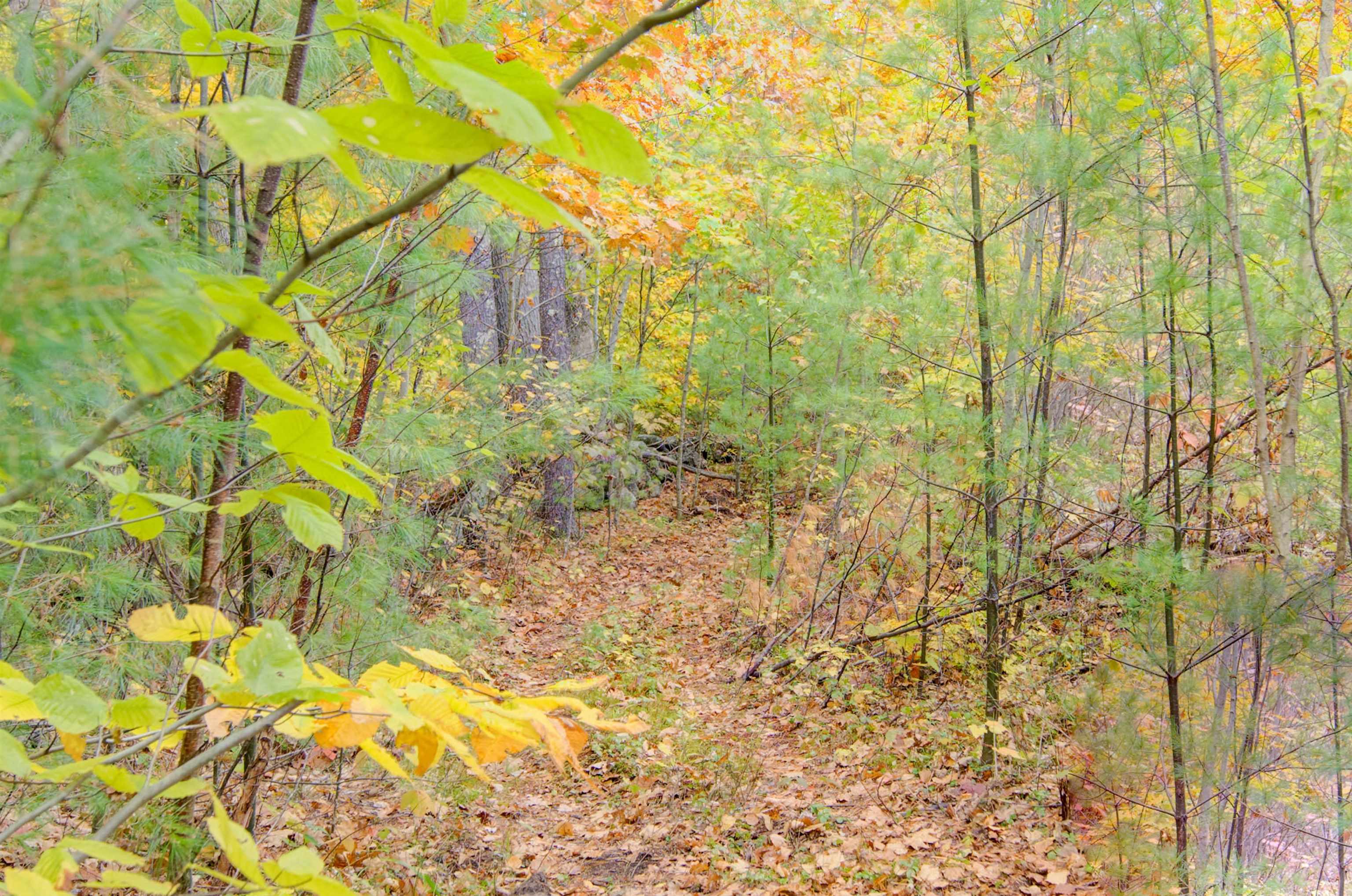 MLS #5070248 image #39