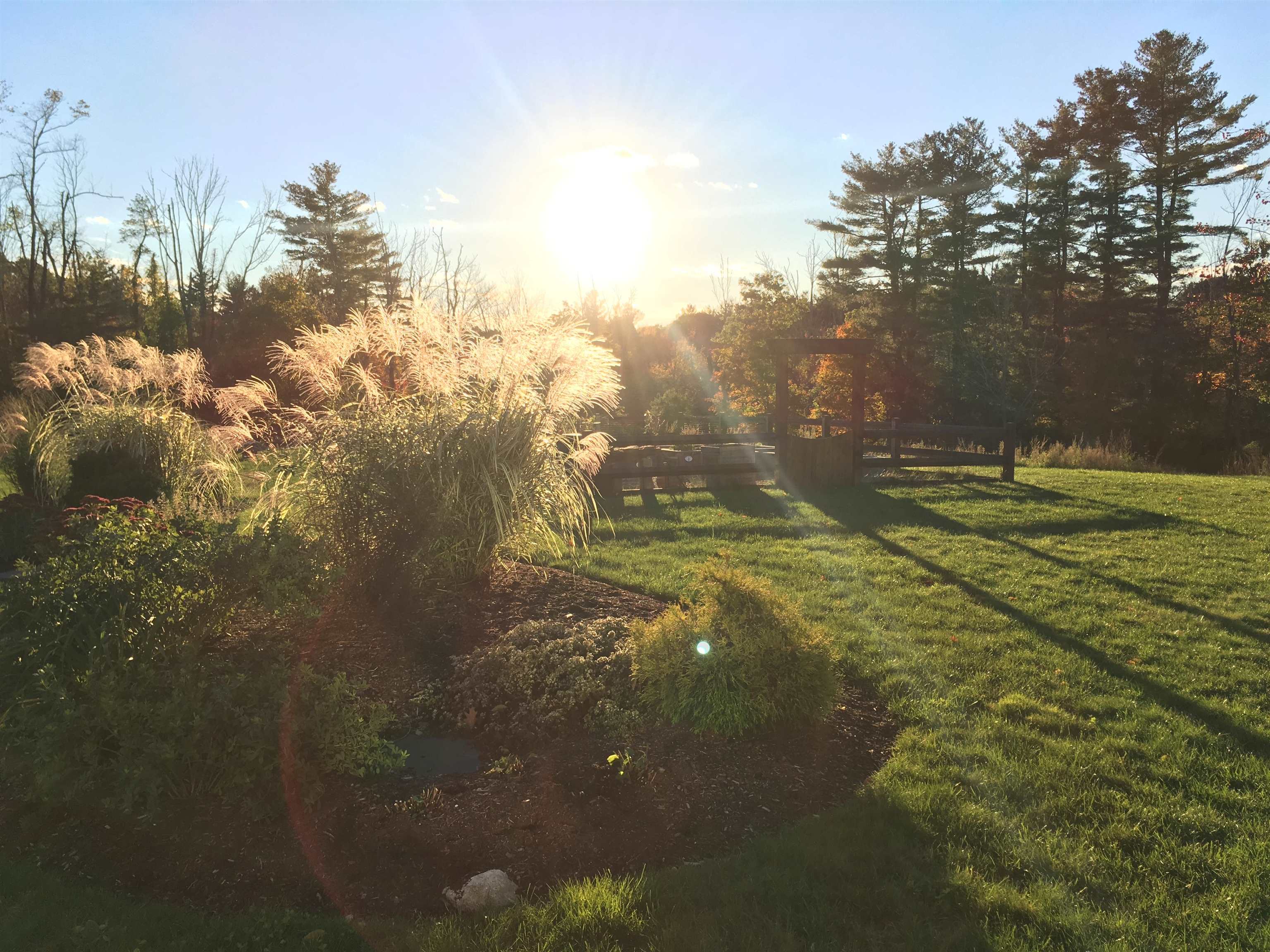 MLS #5064454 image #35