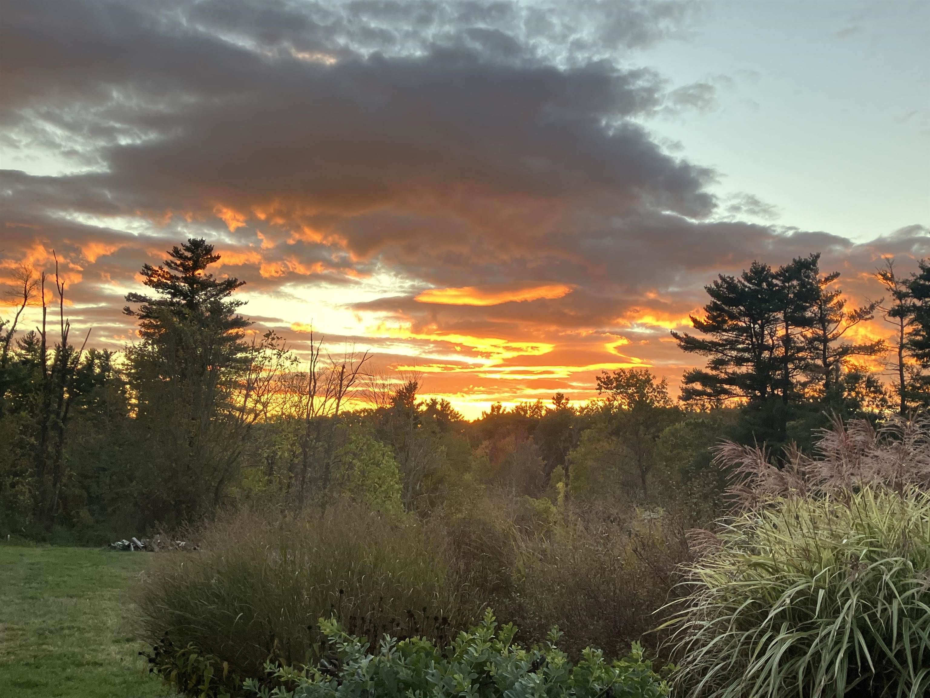 MLS #5064454 image #39