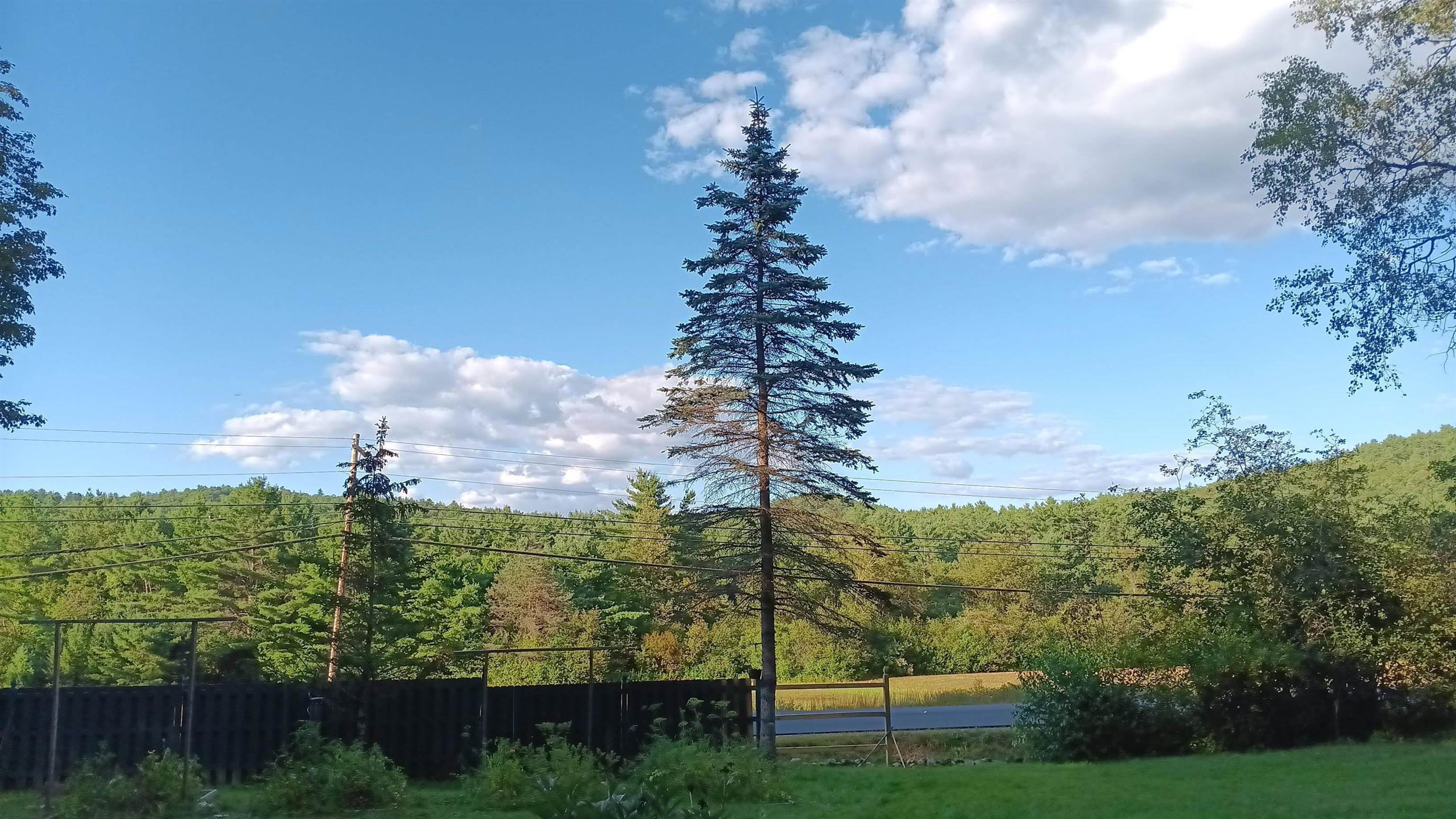 MLS #5070254 image #38