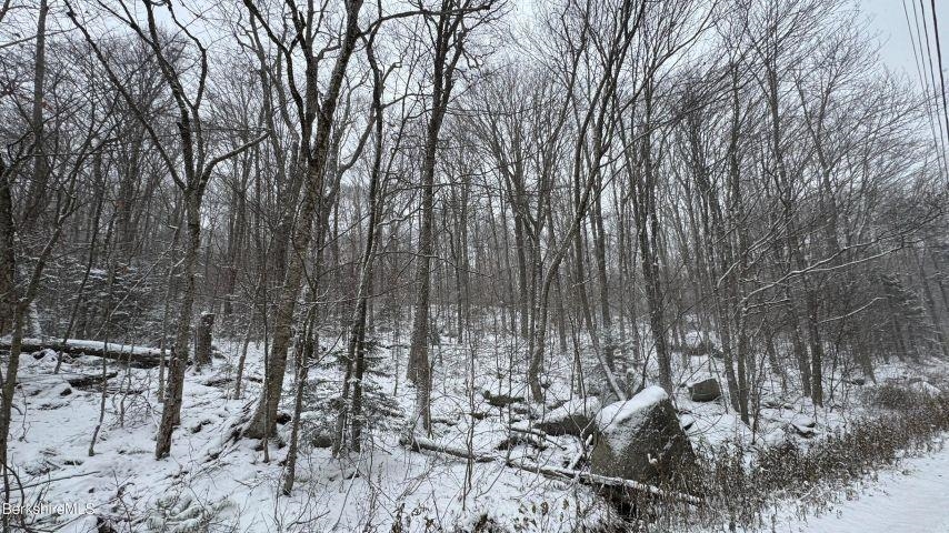 Homes for sale in Readsboro, VT | Bergrucken Ln, Readsboro, VT 05350 | MLS# 5070261