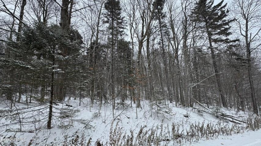 Homes for sale in Readsboro, VT | Bergrucken Ln, Readsboro, VT 05350 | MLS# 5070261