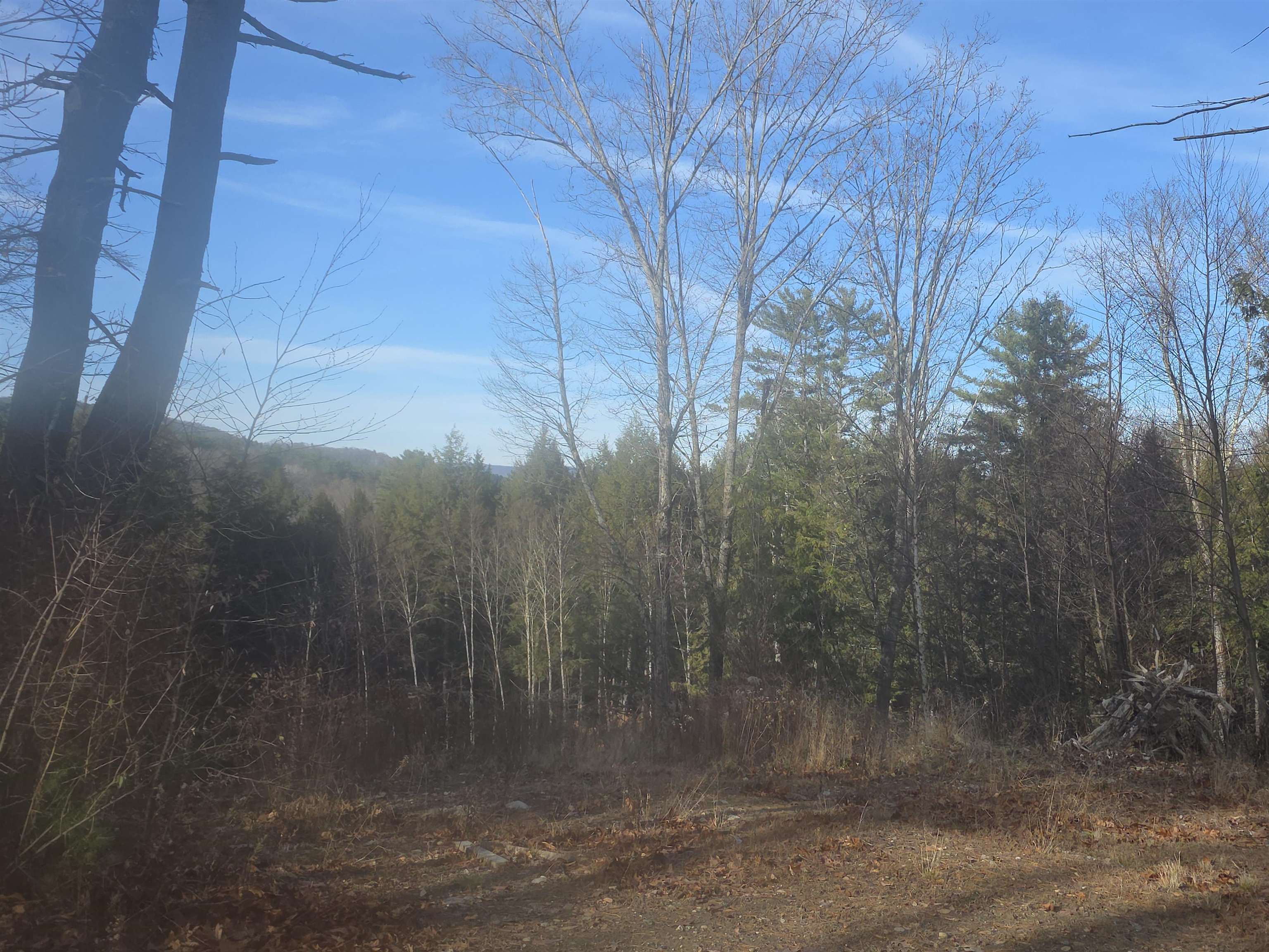 Homes for sale in Springfield, VT | 00 Will Dean Rd, Springfield, VT 05156 | MLS# 5070262