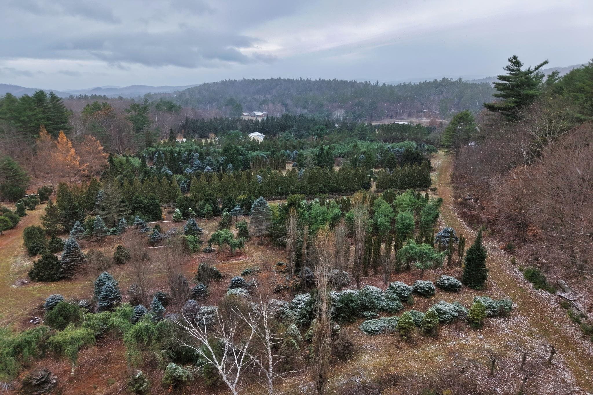 Homes for sale in Wentworth, NH | 0 Mount Moosilauke Hwy, Wentworth, NH 03282 | MLS# 5070268