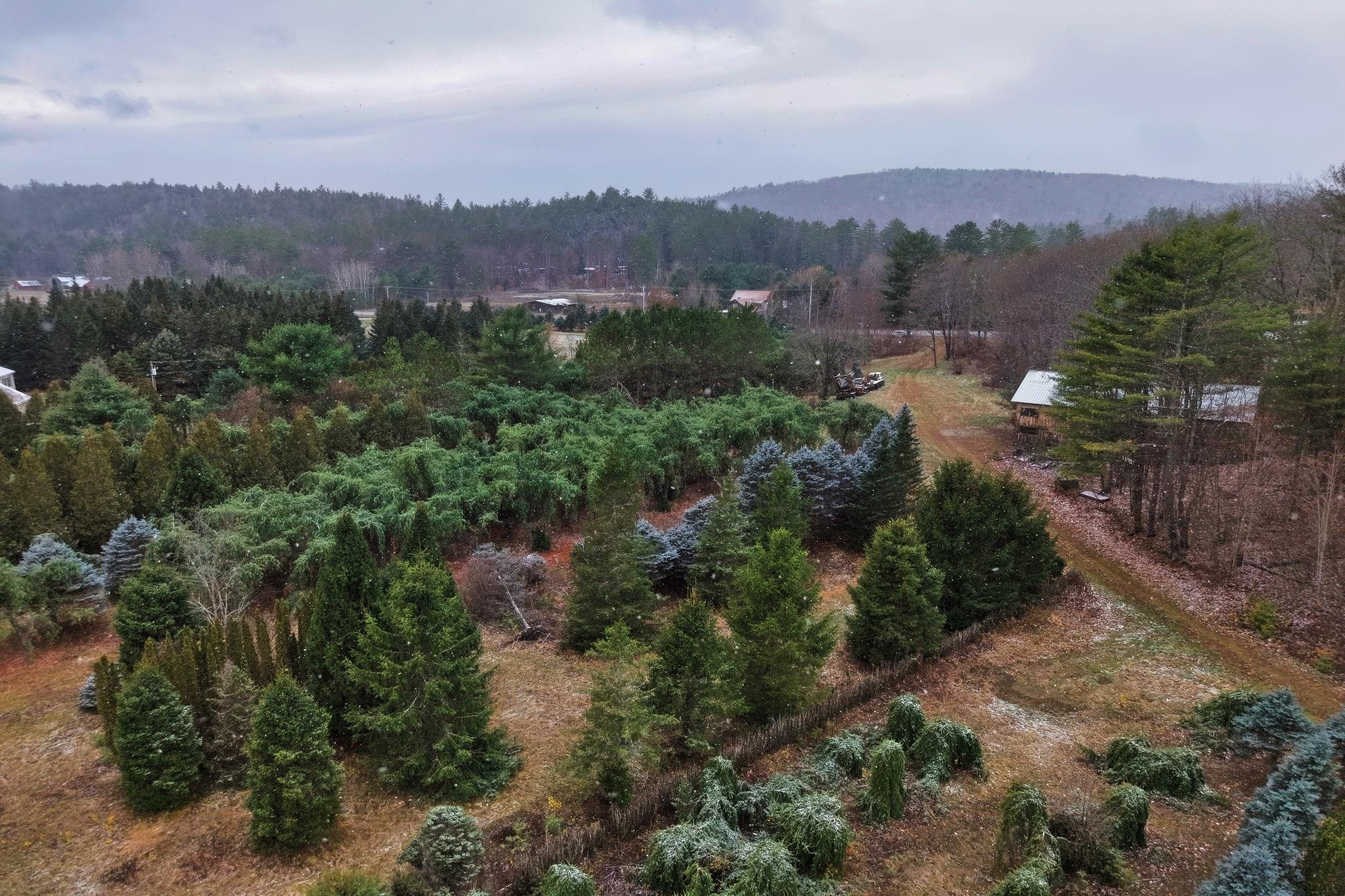 Homes for sale in Wentworth, NH | 0 Mount Moosilauke Hwy, Wentworth, NH 03282 | MLS# 5070268