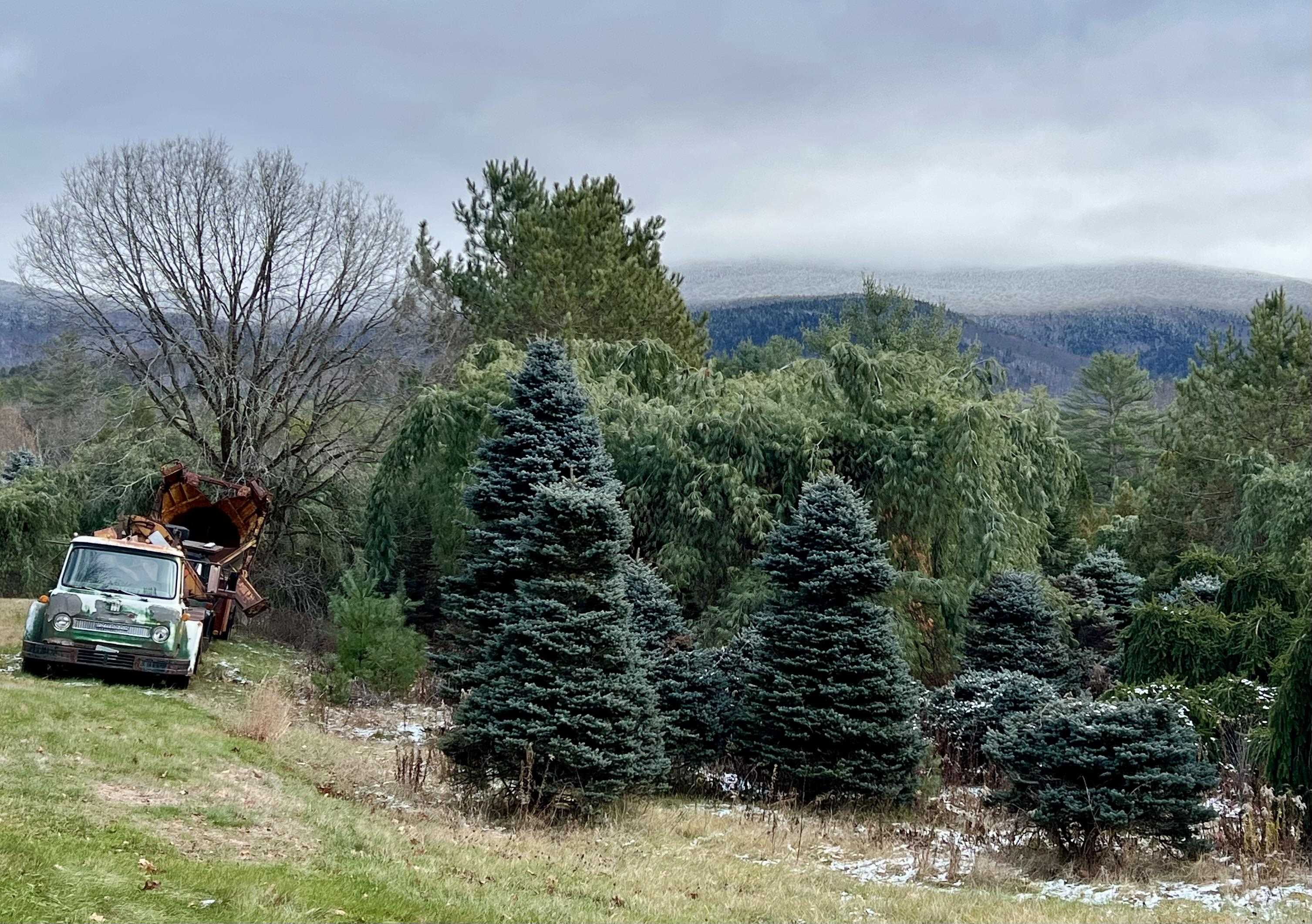 Homes for sale in Wentworth, NH | 0 Mount Moosilauke Hwy, Wentworth, NH 03282 | MLS# 5070268