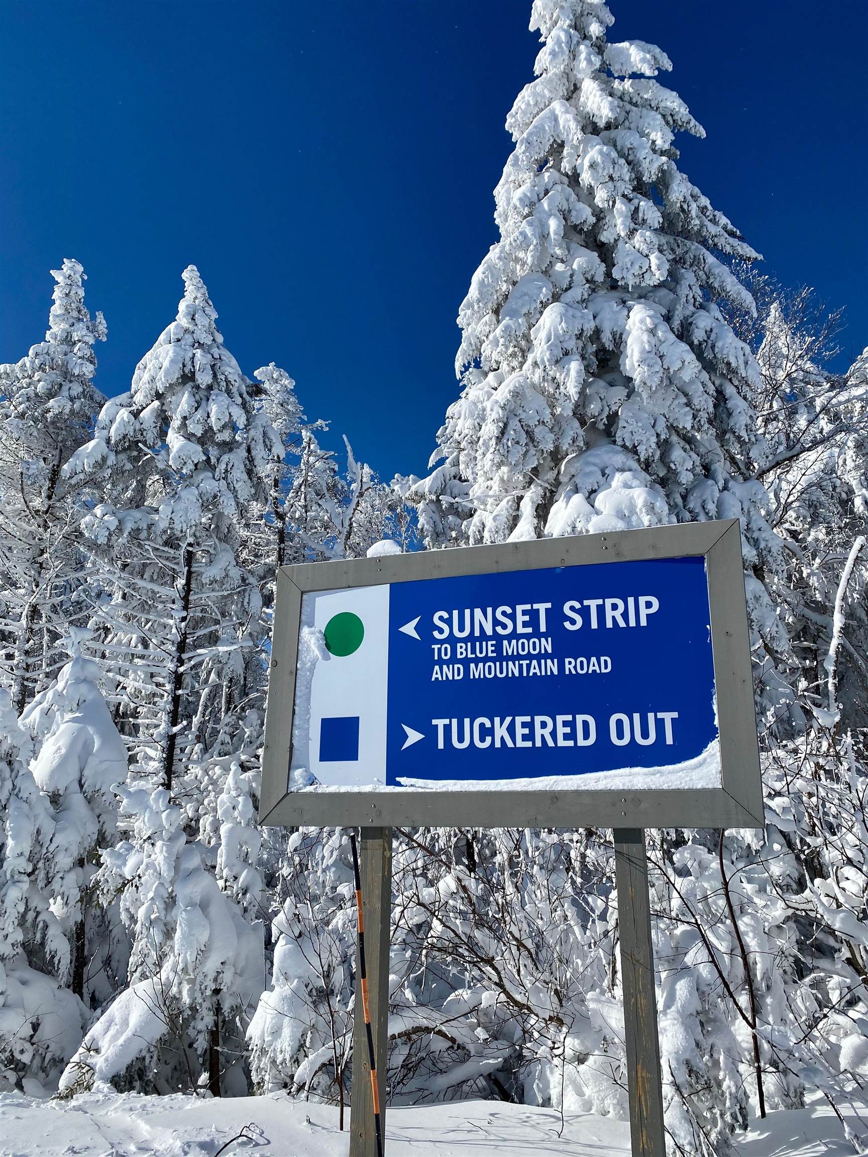 Homes for sale in Ludlow, VT | 224 Qiv Jackson Gore Inn #224 QIV, Ludlow, VT 05149 | MLS# 5070269