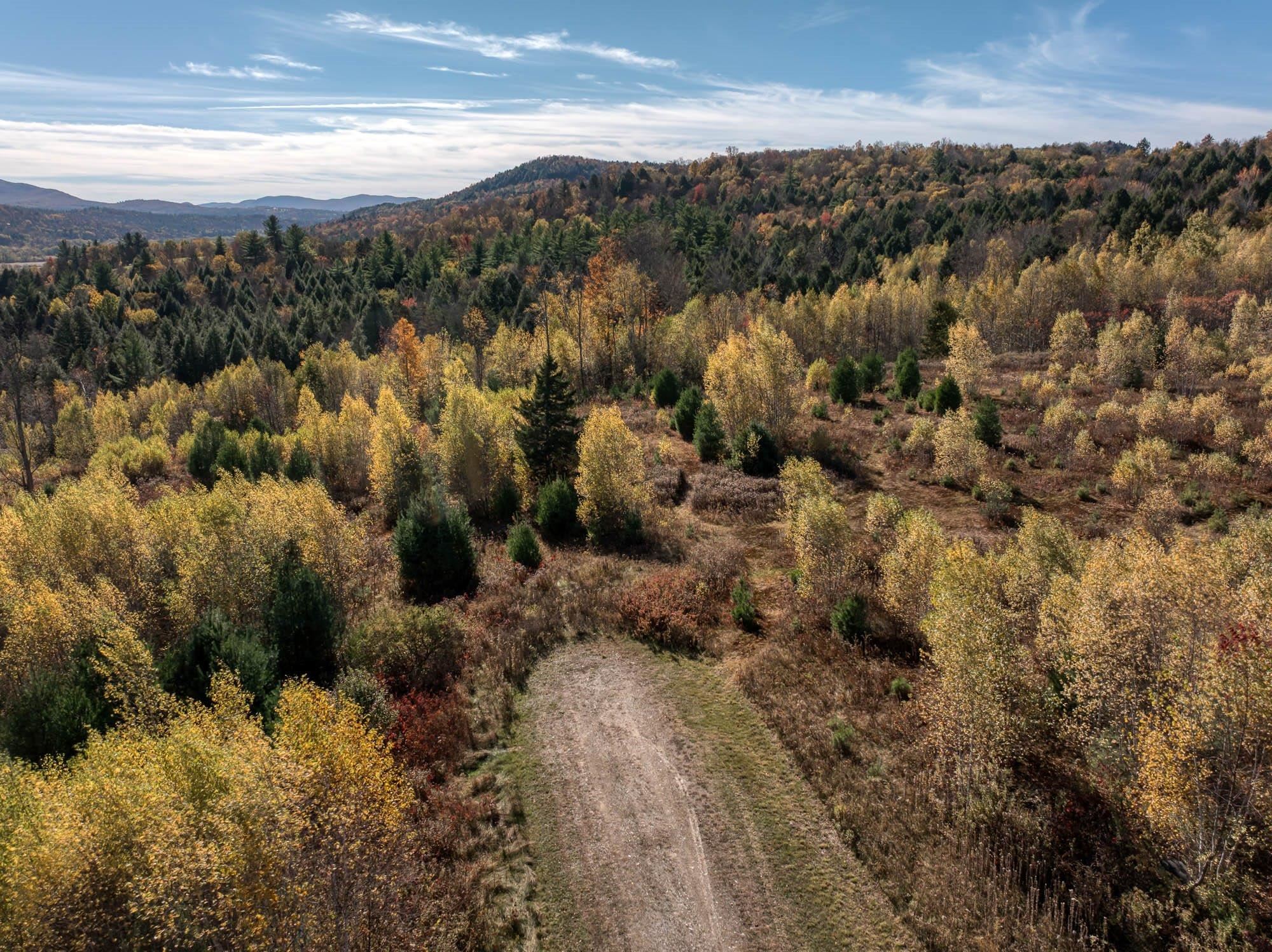 Homes for sale in Cambridge, VT | 00 Birch Tree Ln, Cambridge, VT 05464 | MLS# 5070274