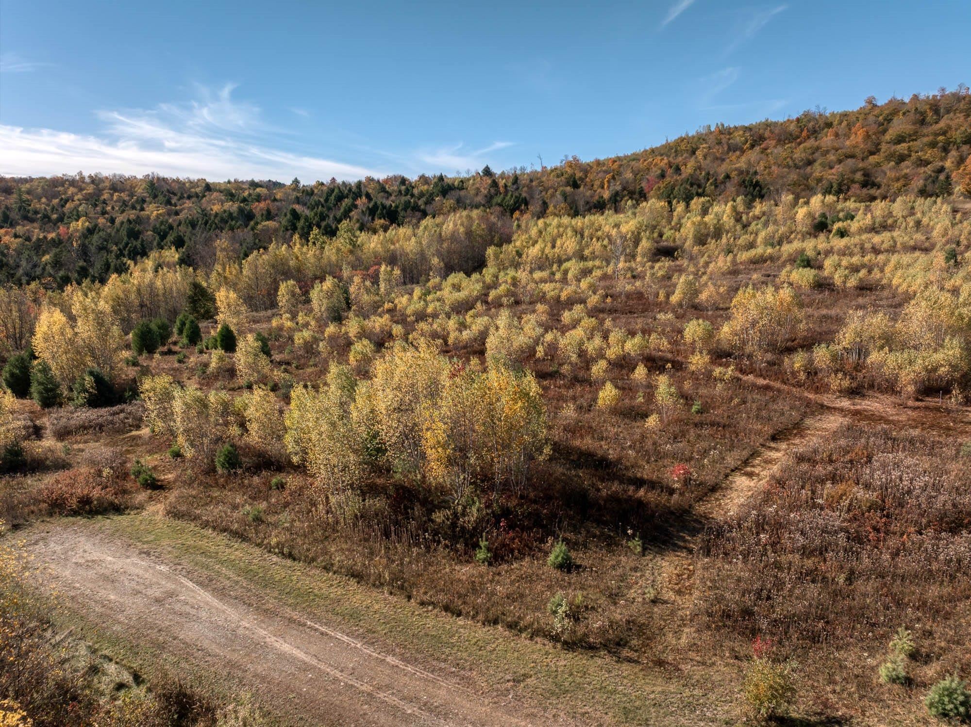 Homes for sale in Cambridge, VT | 00 Birch Tree Ln, Cambridge, VT 05464 | MLS# 5070274