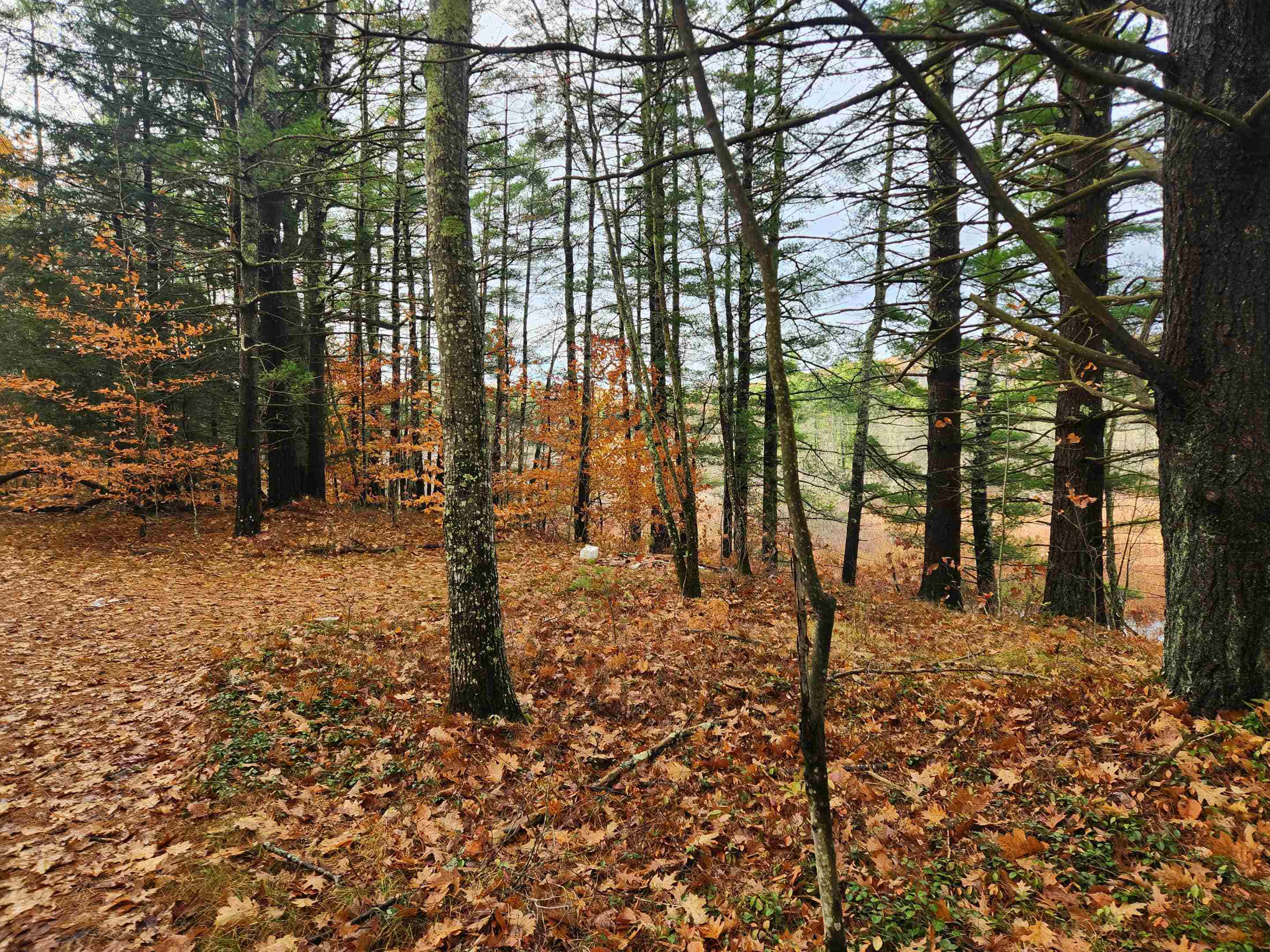 Homes for sale in Wakefield, NH | 19 White Mountain Hwy, Wakefield, NH 03872 | MLS# 5070287