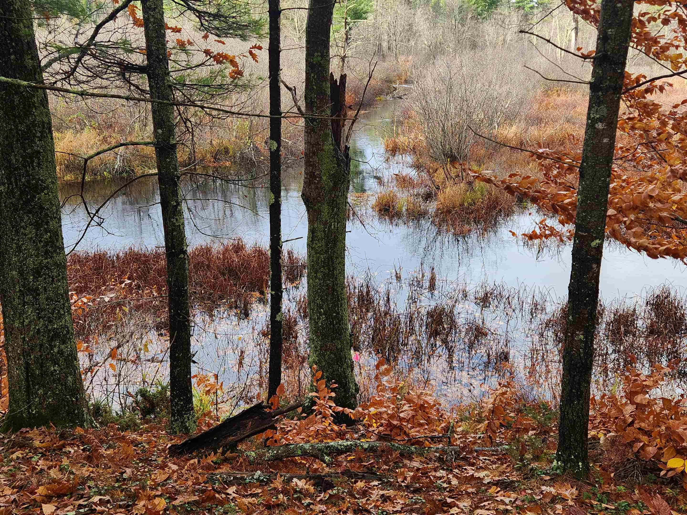 Homes for sale in Wakefield, NH | 18 White Mountain Hwy, Wakefield, NH 03872 | MLS# 5070290