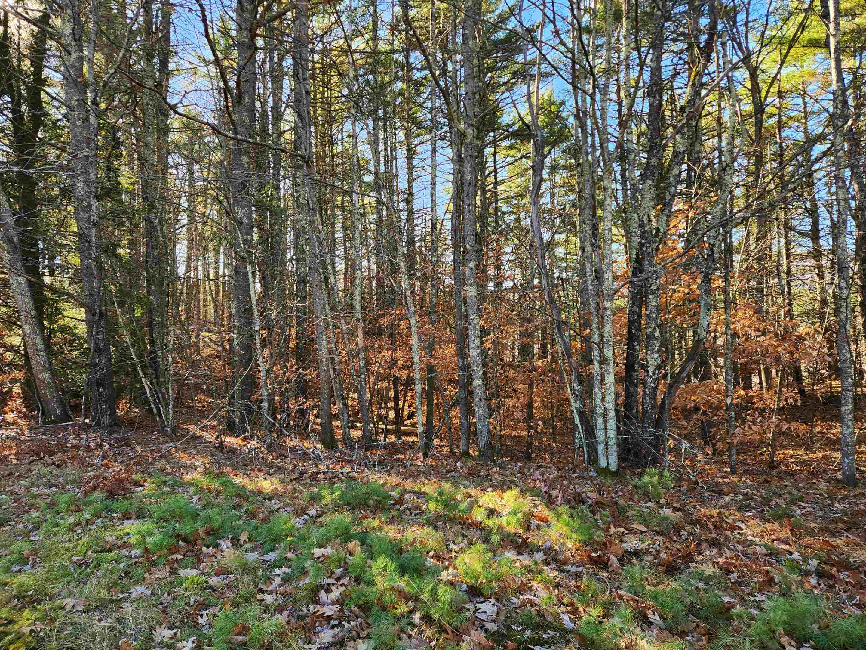 Homes for sale in Wakefield, NH | 18 White Mountain Hwy, Wakefield, NH 03872 | MLS# 5070290