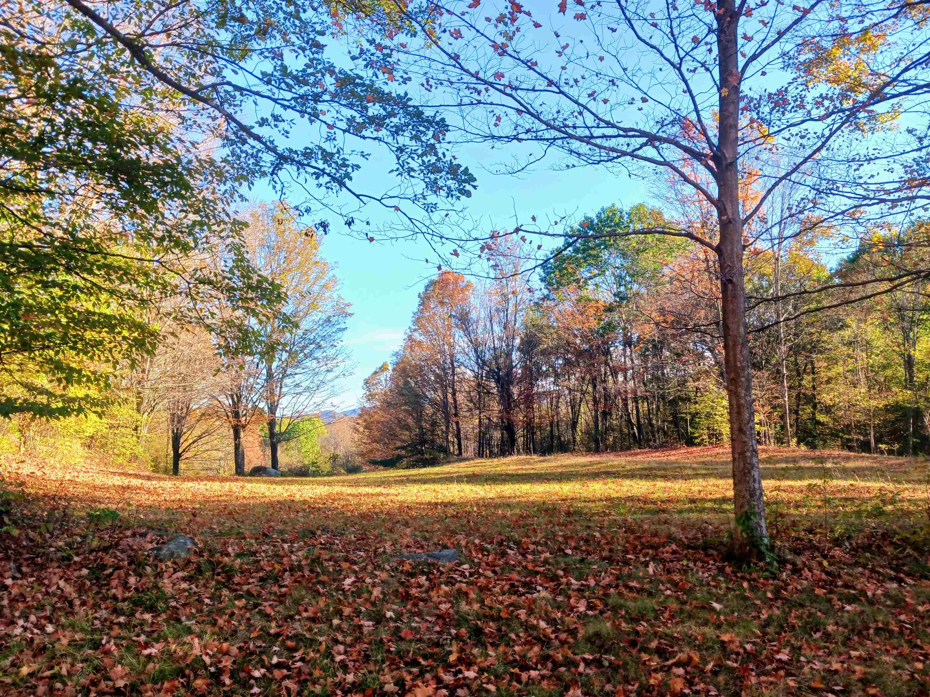 Homes for sale in Pawlet, VT | 1096 Betts Bridge Rd, Pawlet, VT 05775 | MLS# 5070291